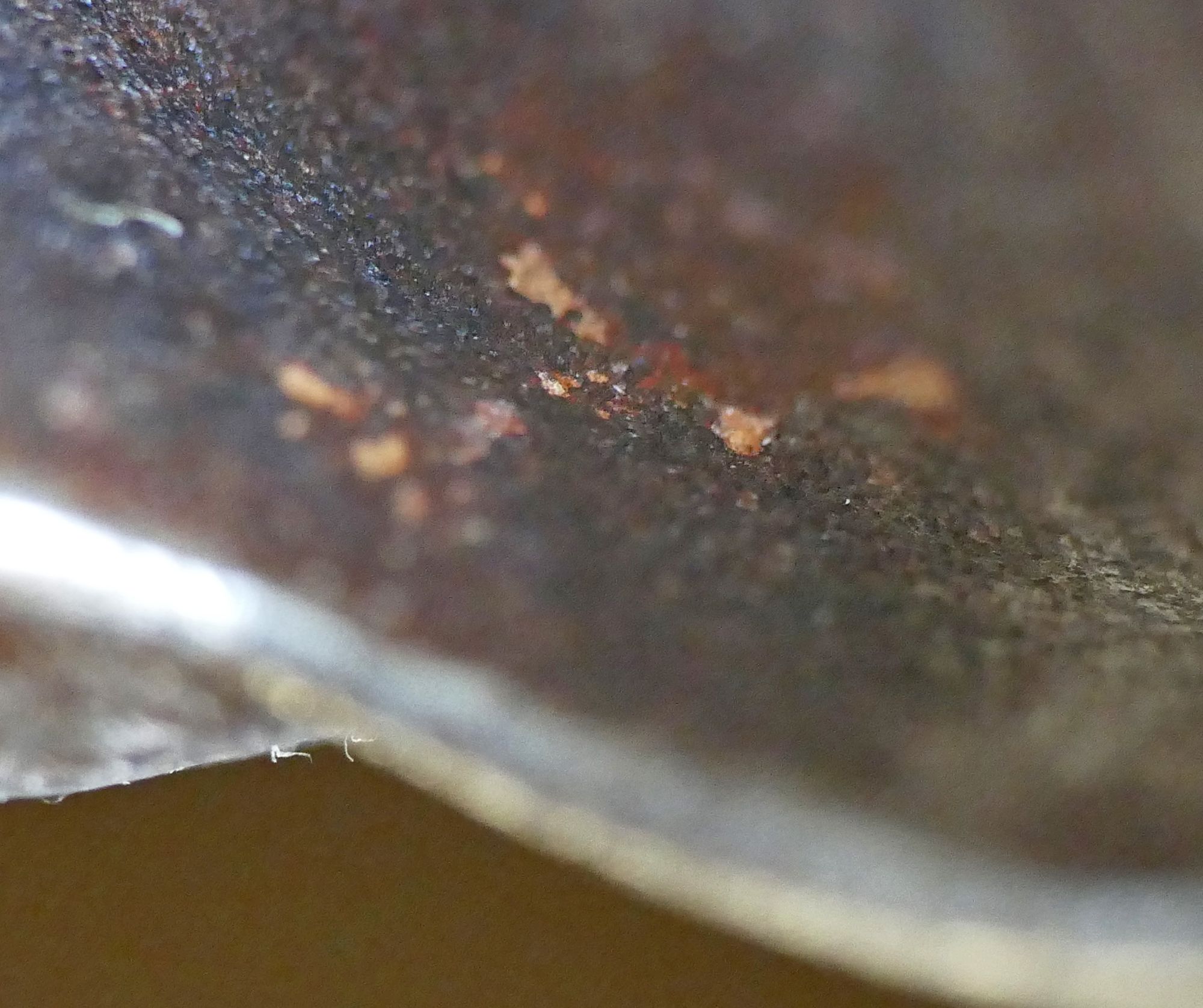 P1380707n.jpg