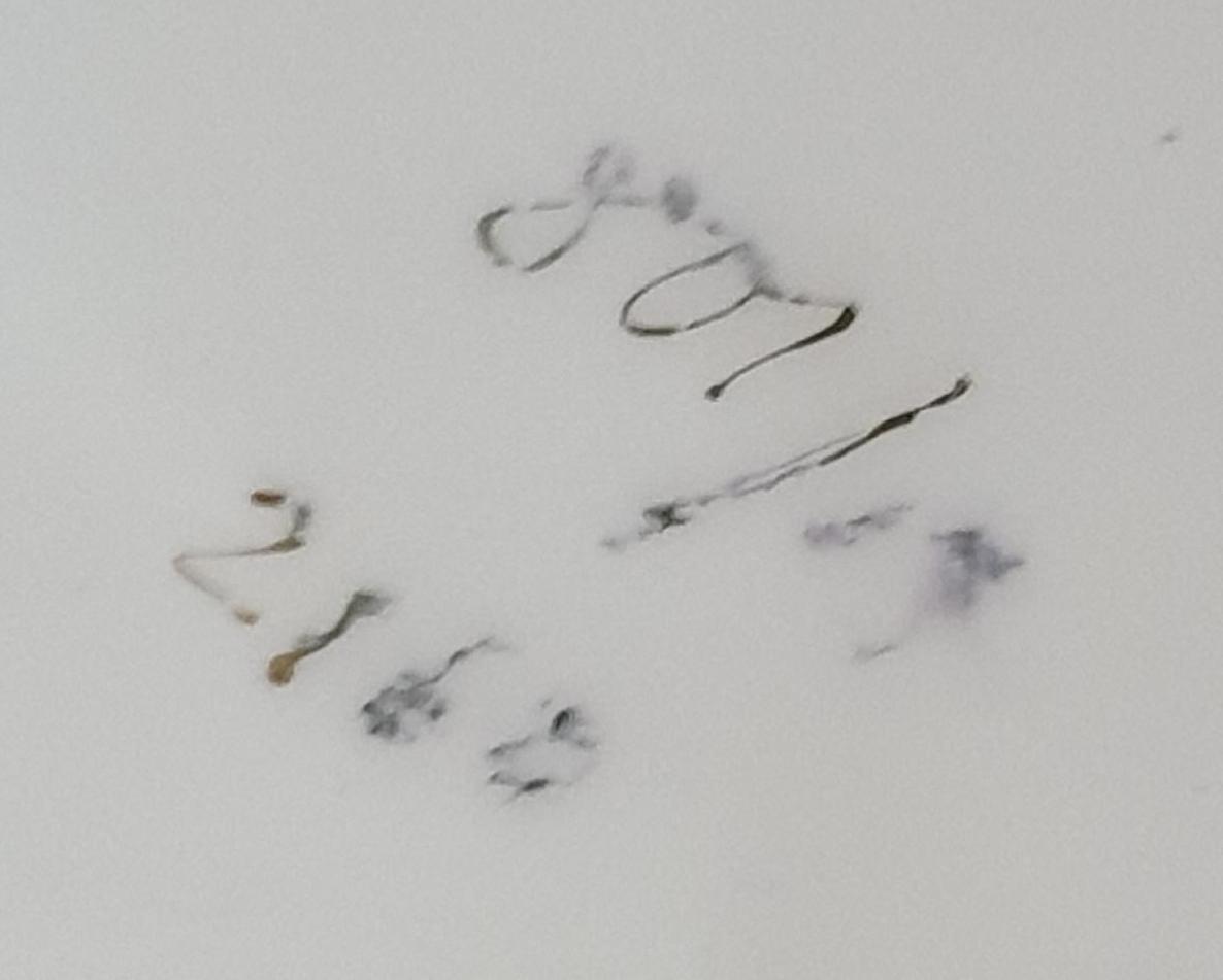 sig.JPG