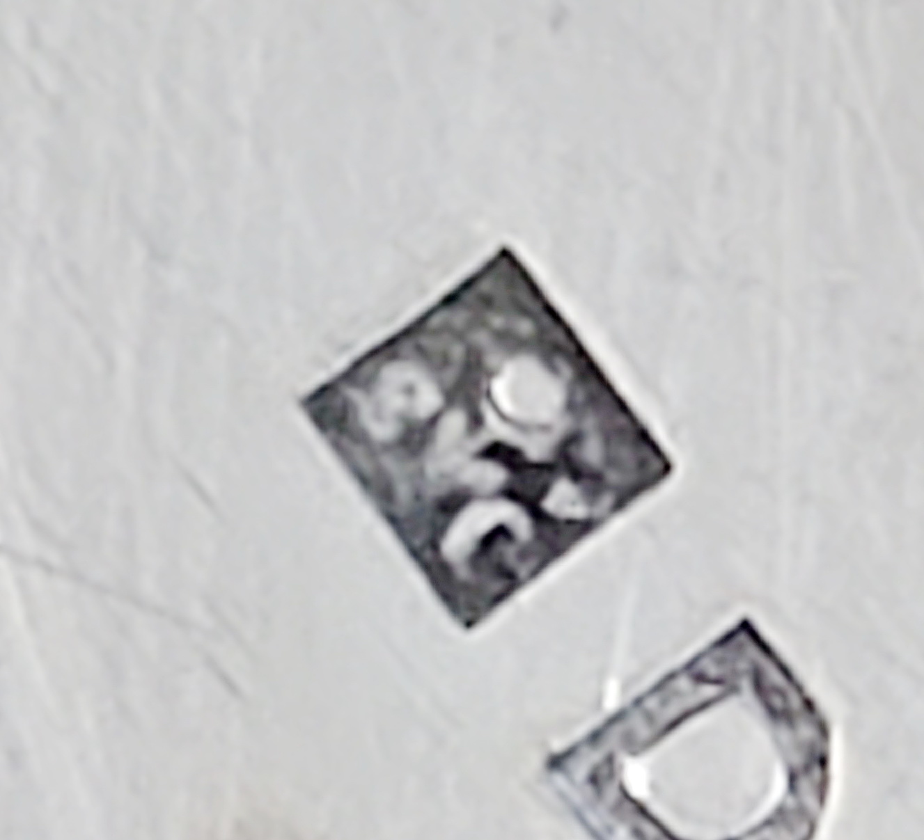 20250304_151939.jpg