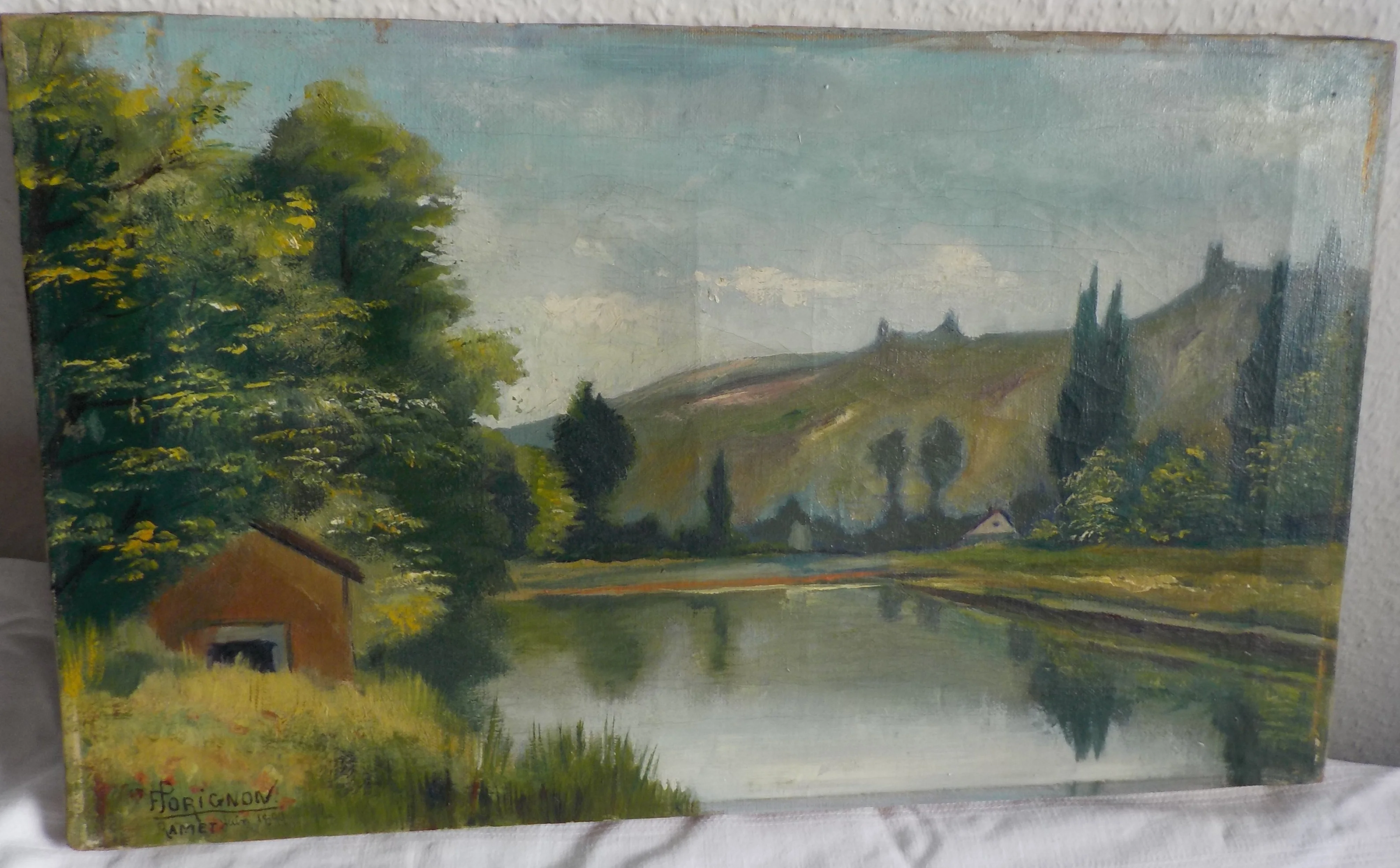 DSCN5393.webp