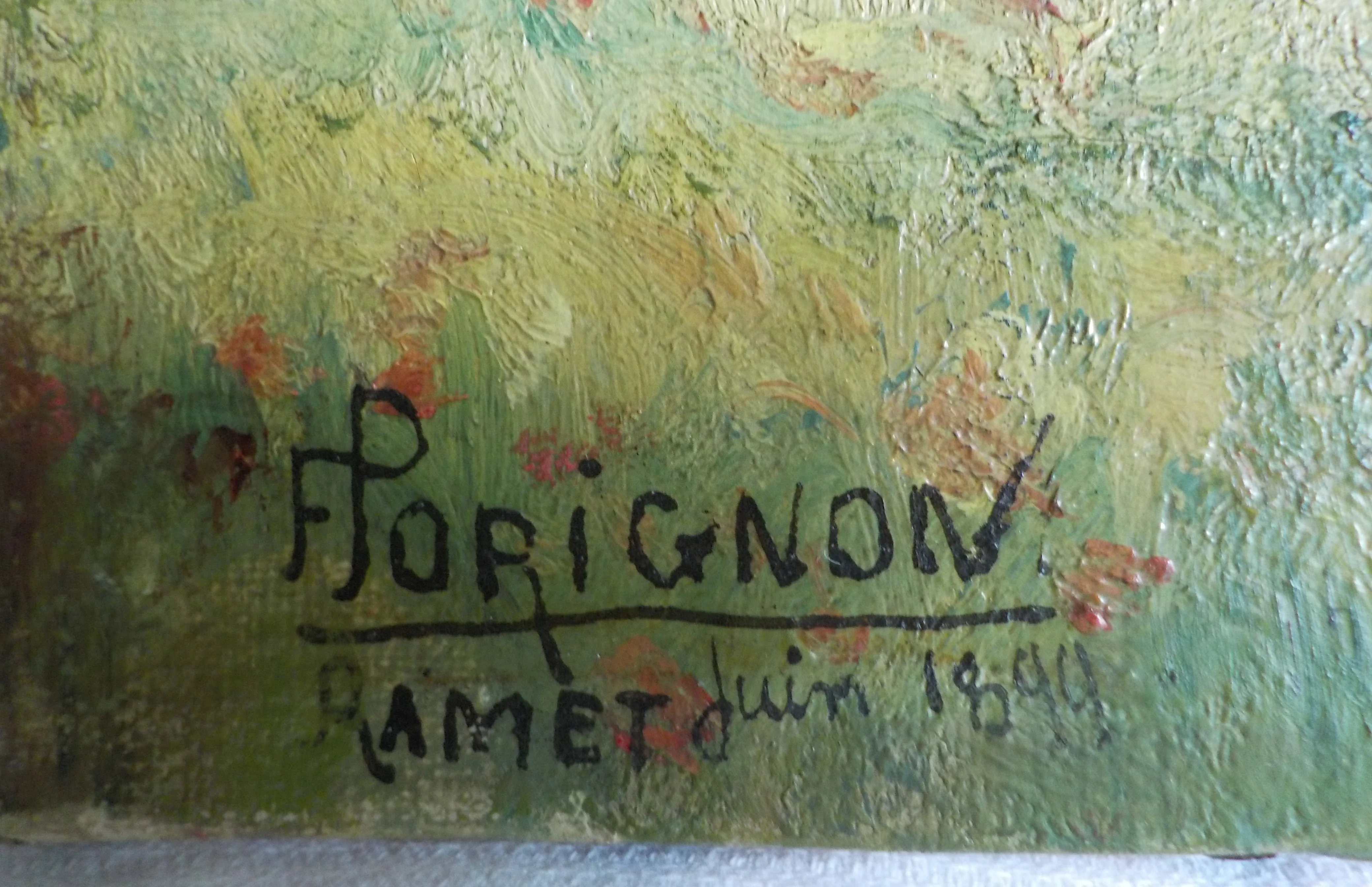 DSCN5397.webp