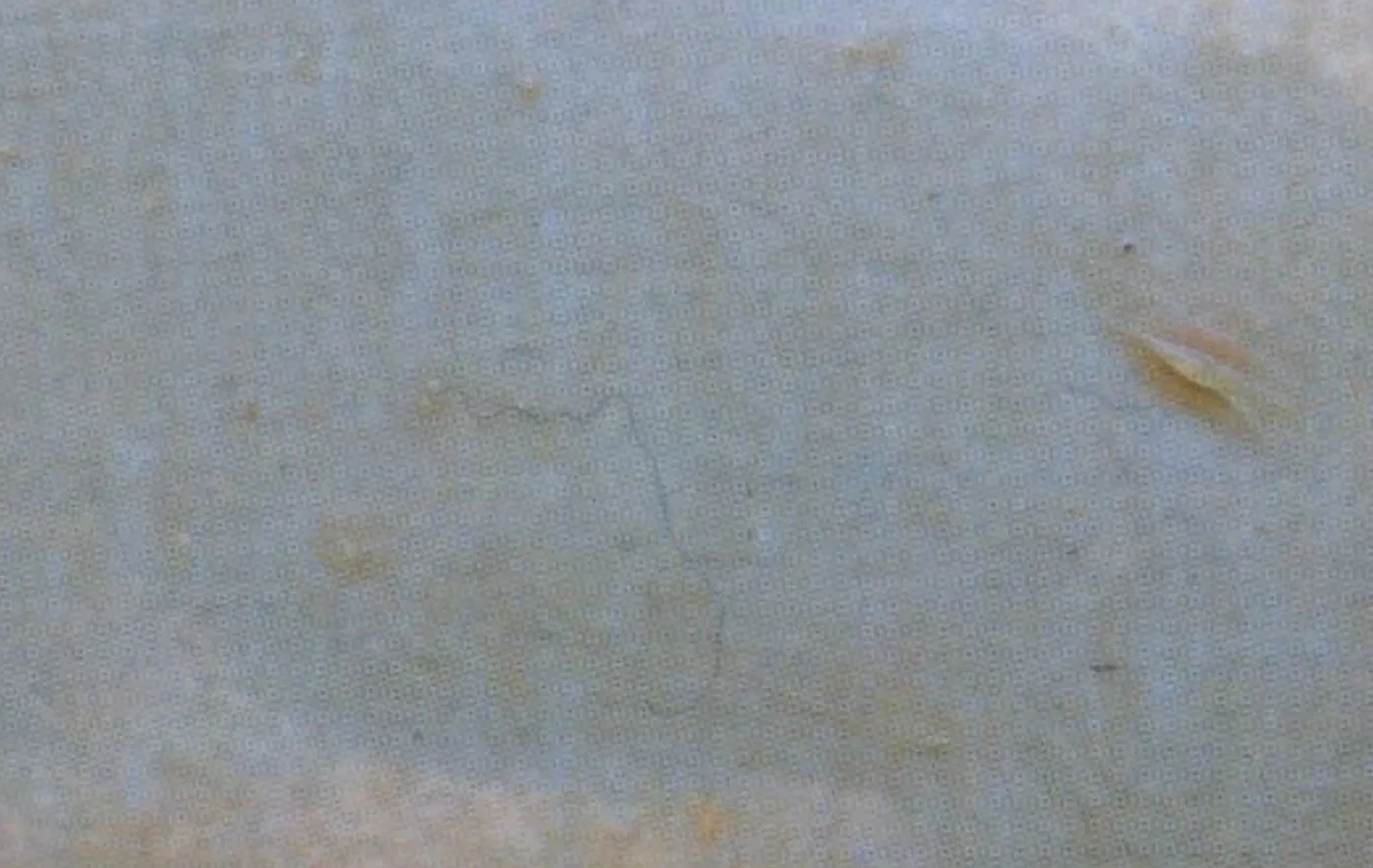 Storck_Detail2_oben mittig.webp