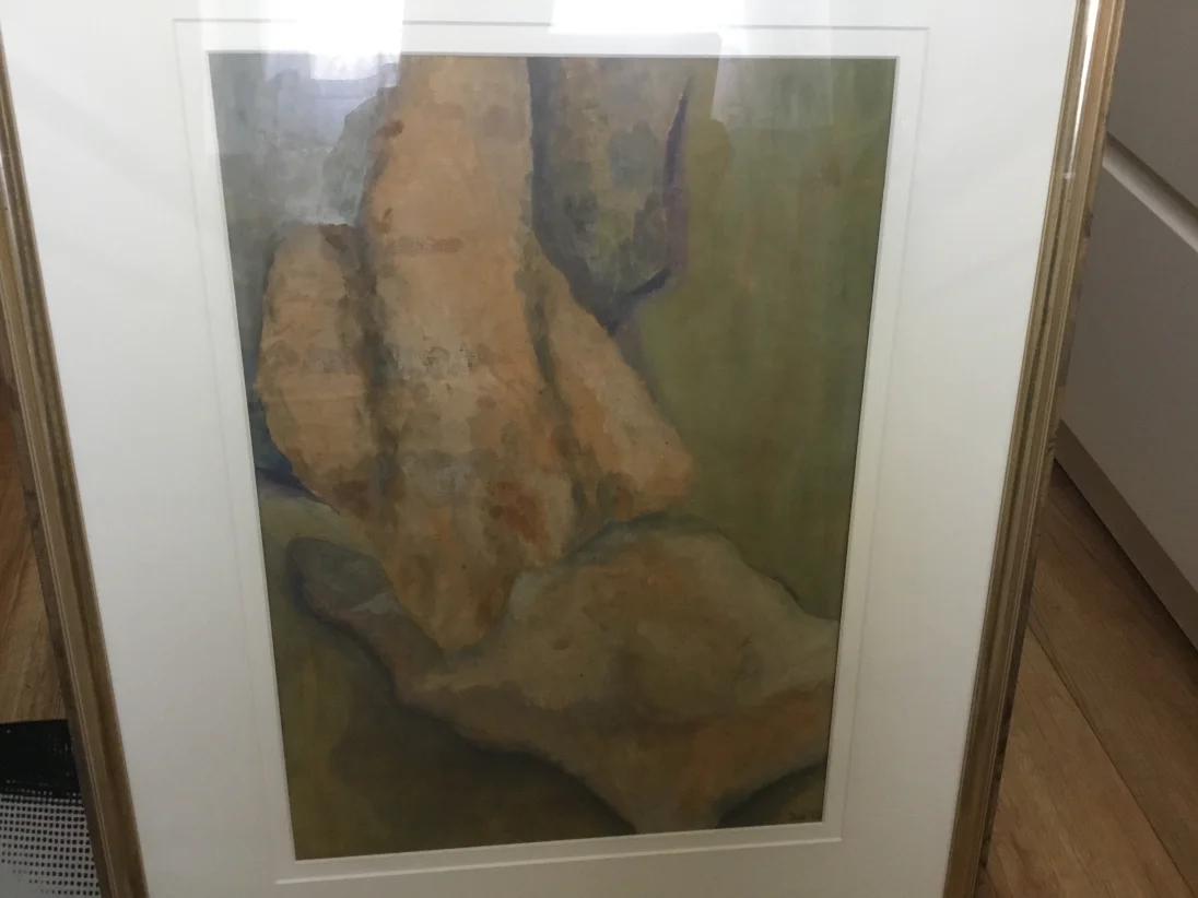 IMG_6181.jpeg