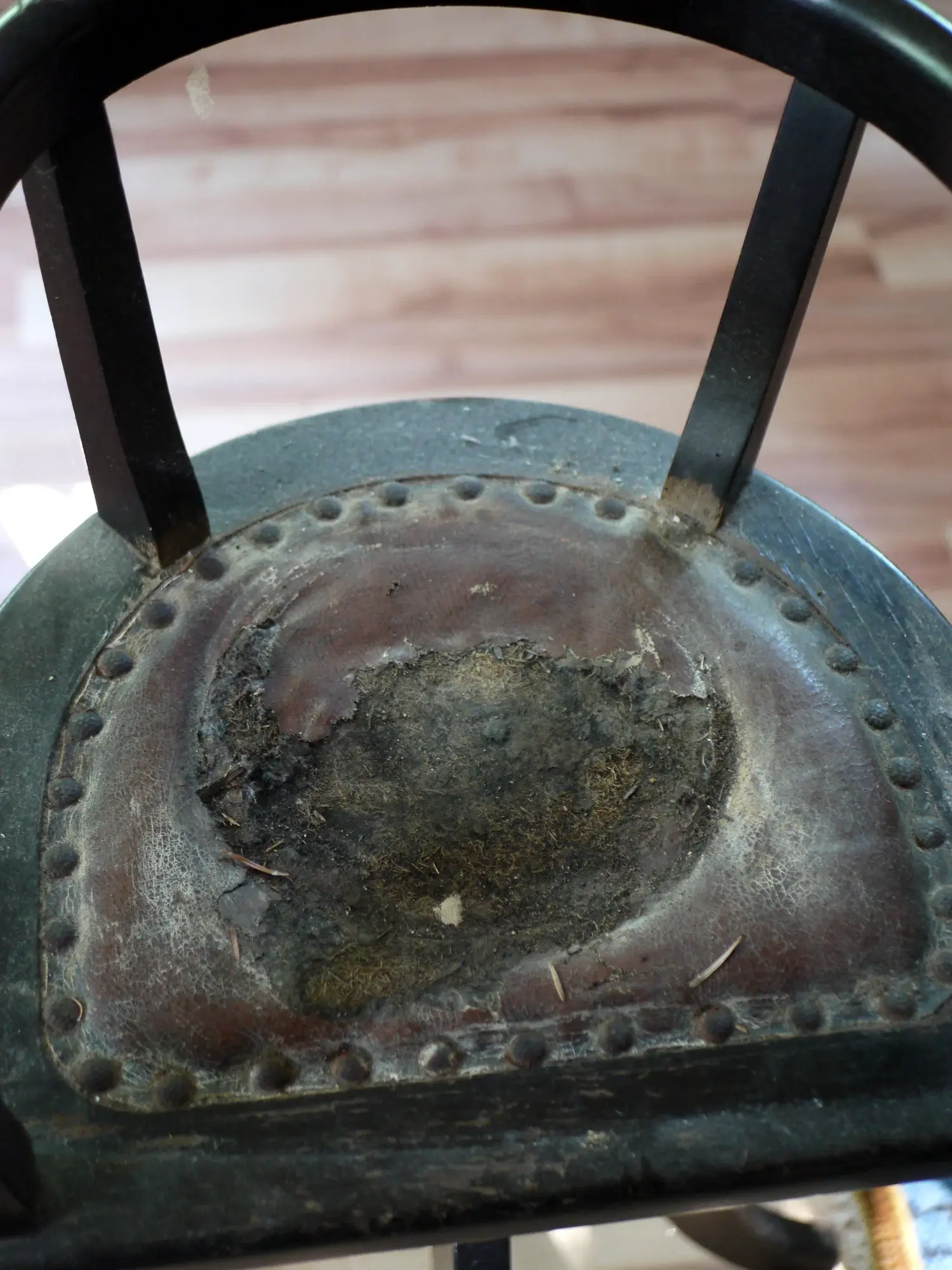 P1140211.webp