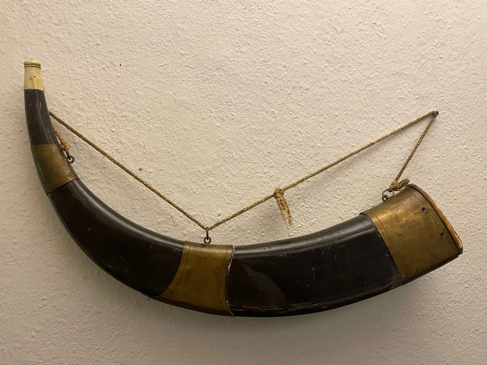 horn7.jpeg.webp