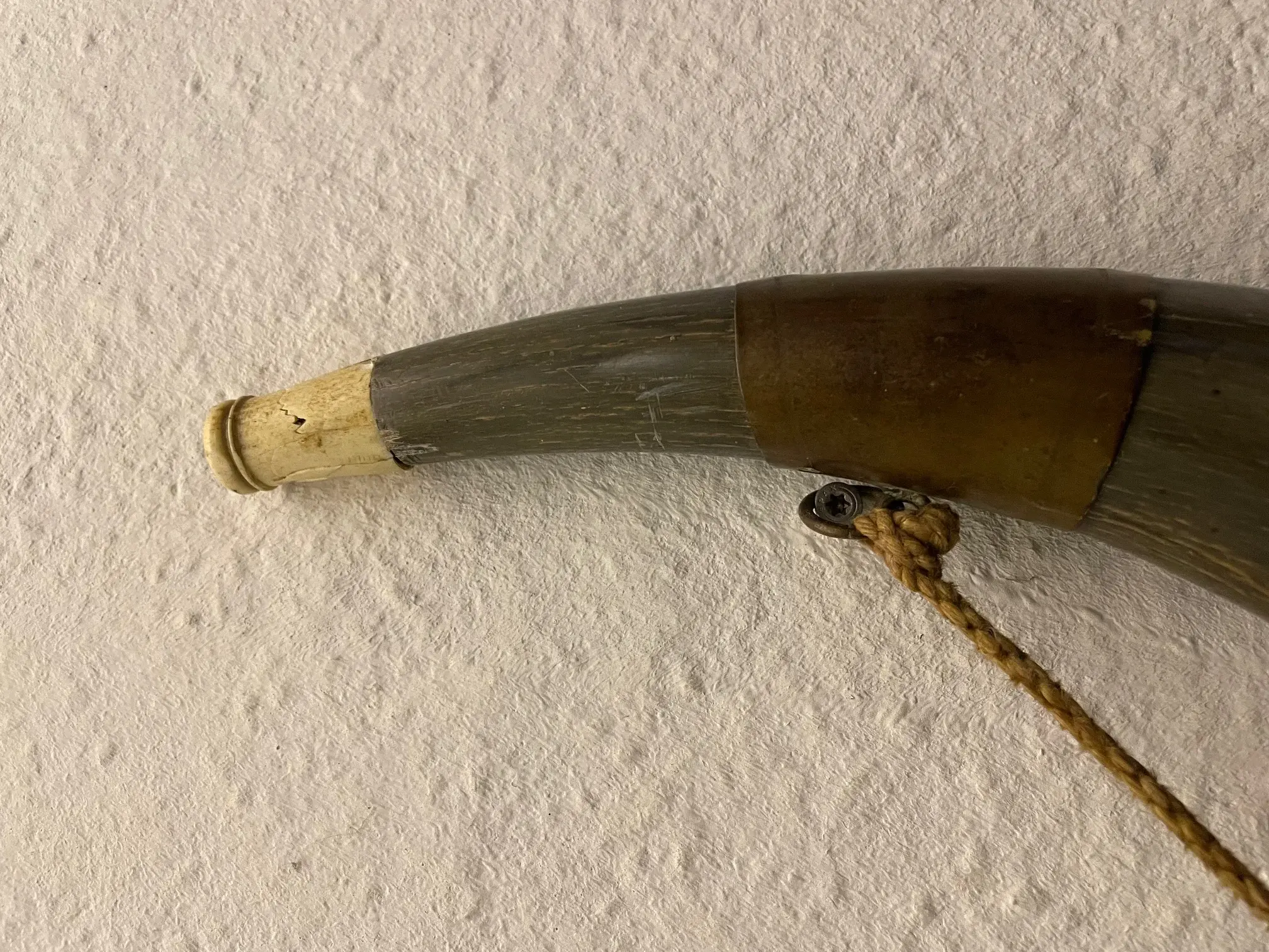 horn6.jpeg.webp