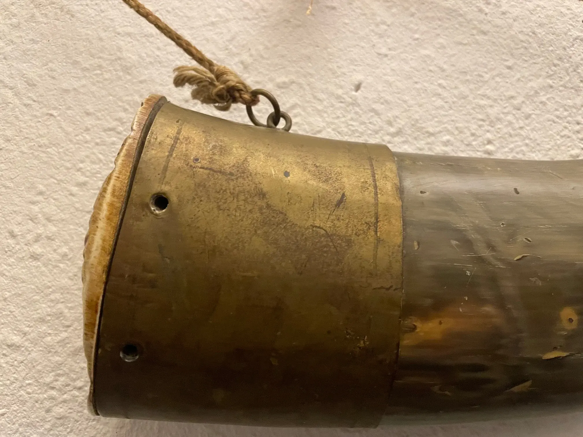horn2.jpeg.webp