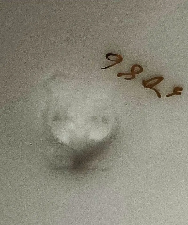 PORZELLAN DE Rheinische Porzellanfabrik Blindstempel.webp