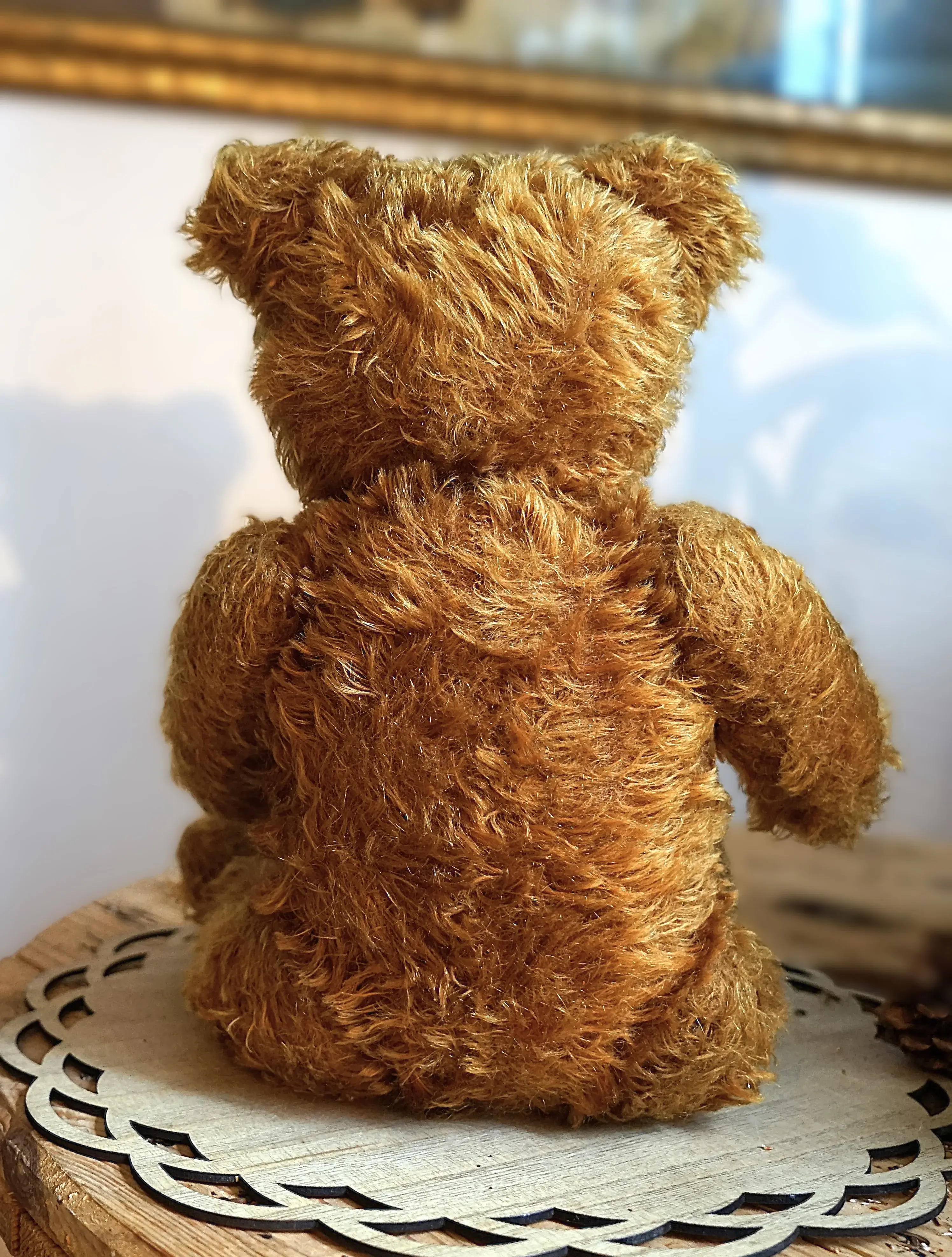 DSC07969.webp