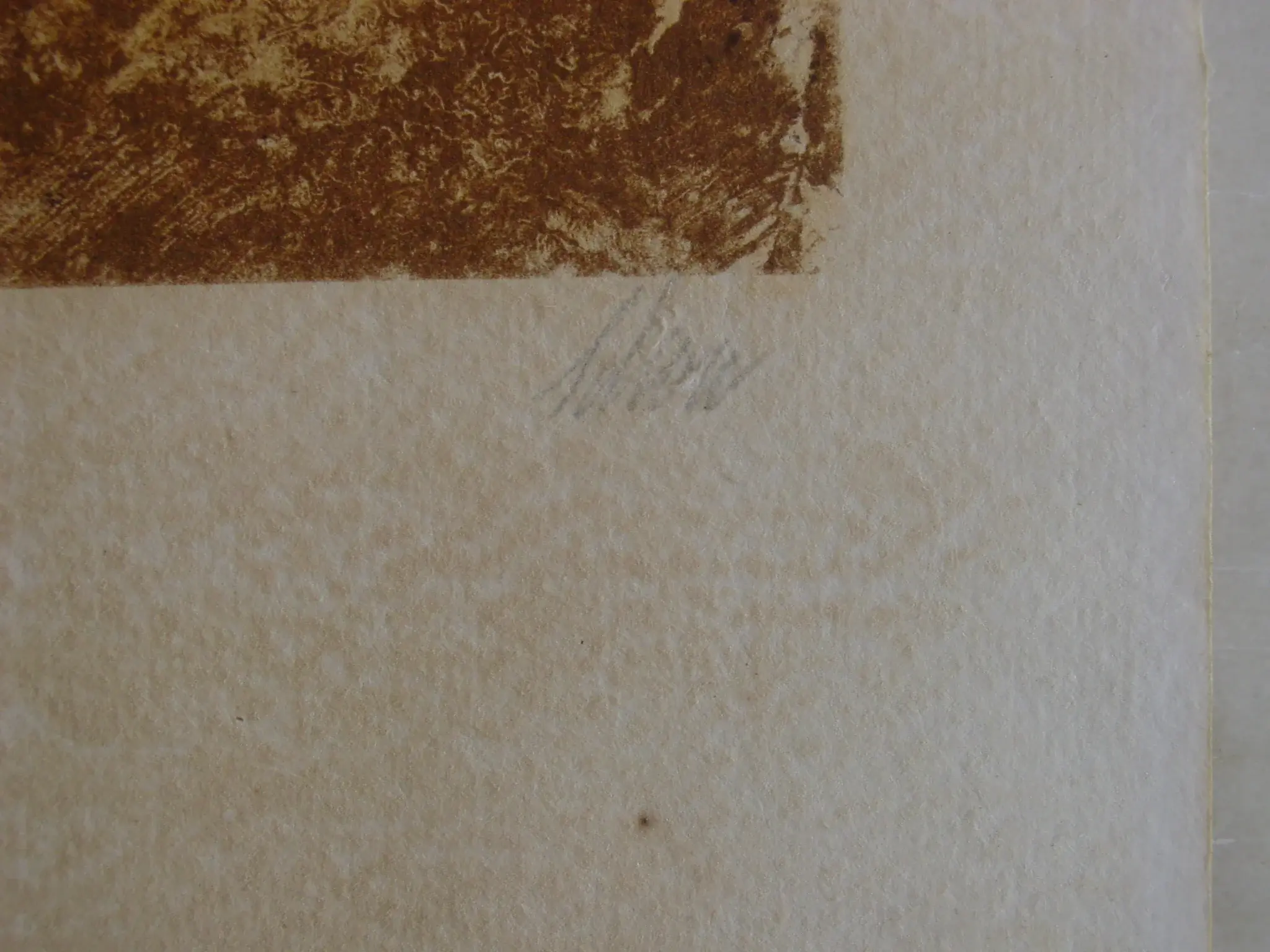 DSC03025.webp