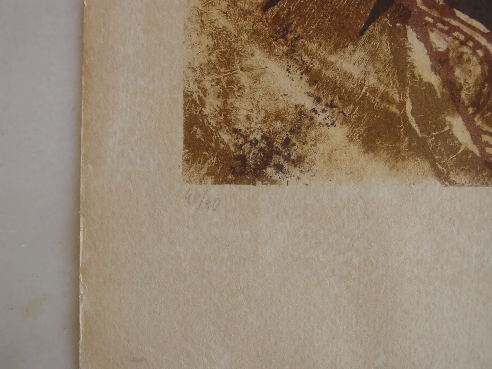 DSC03024.webp