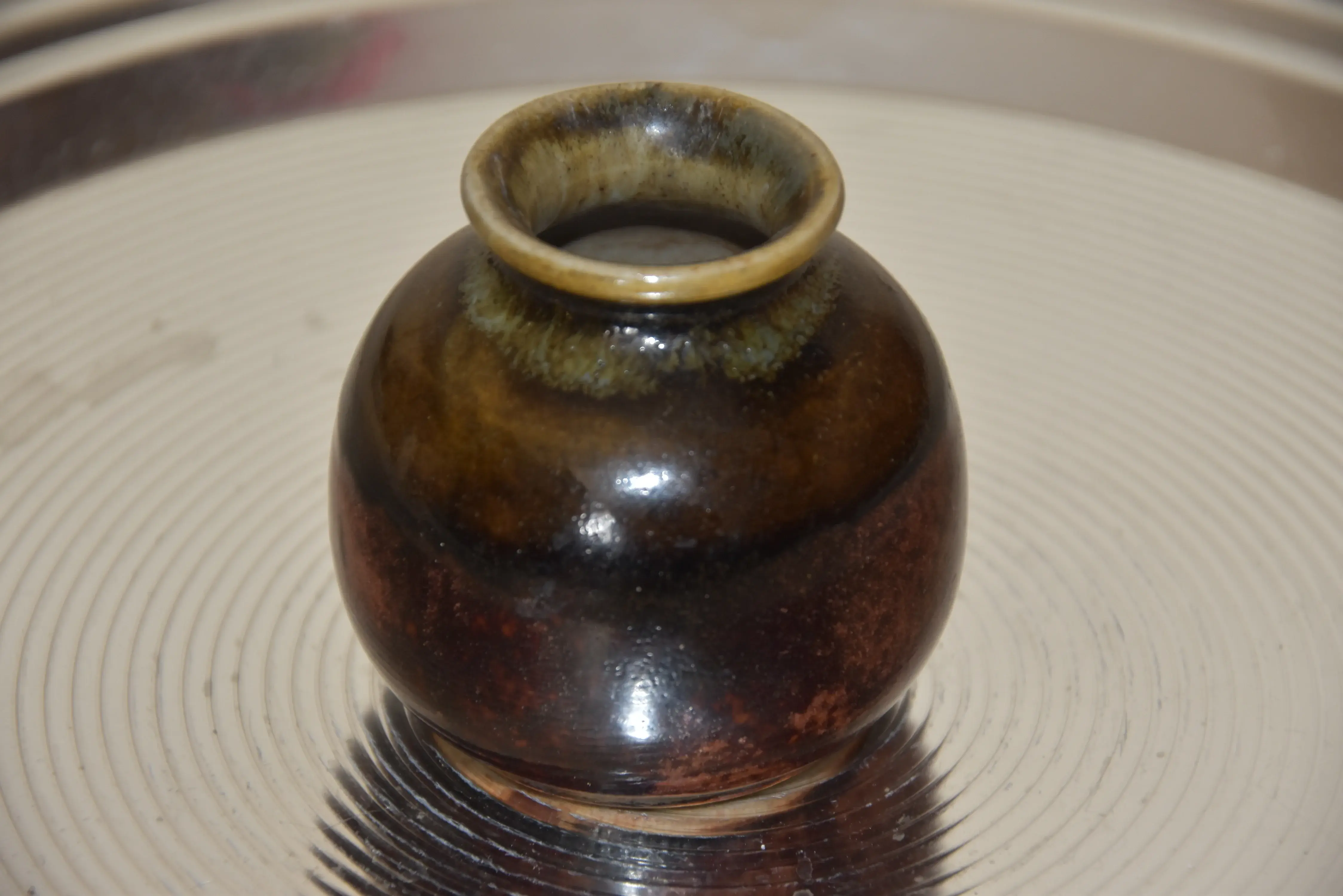 DSC_0258.webp