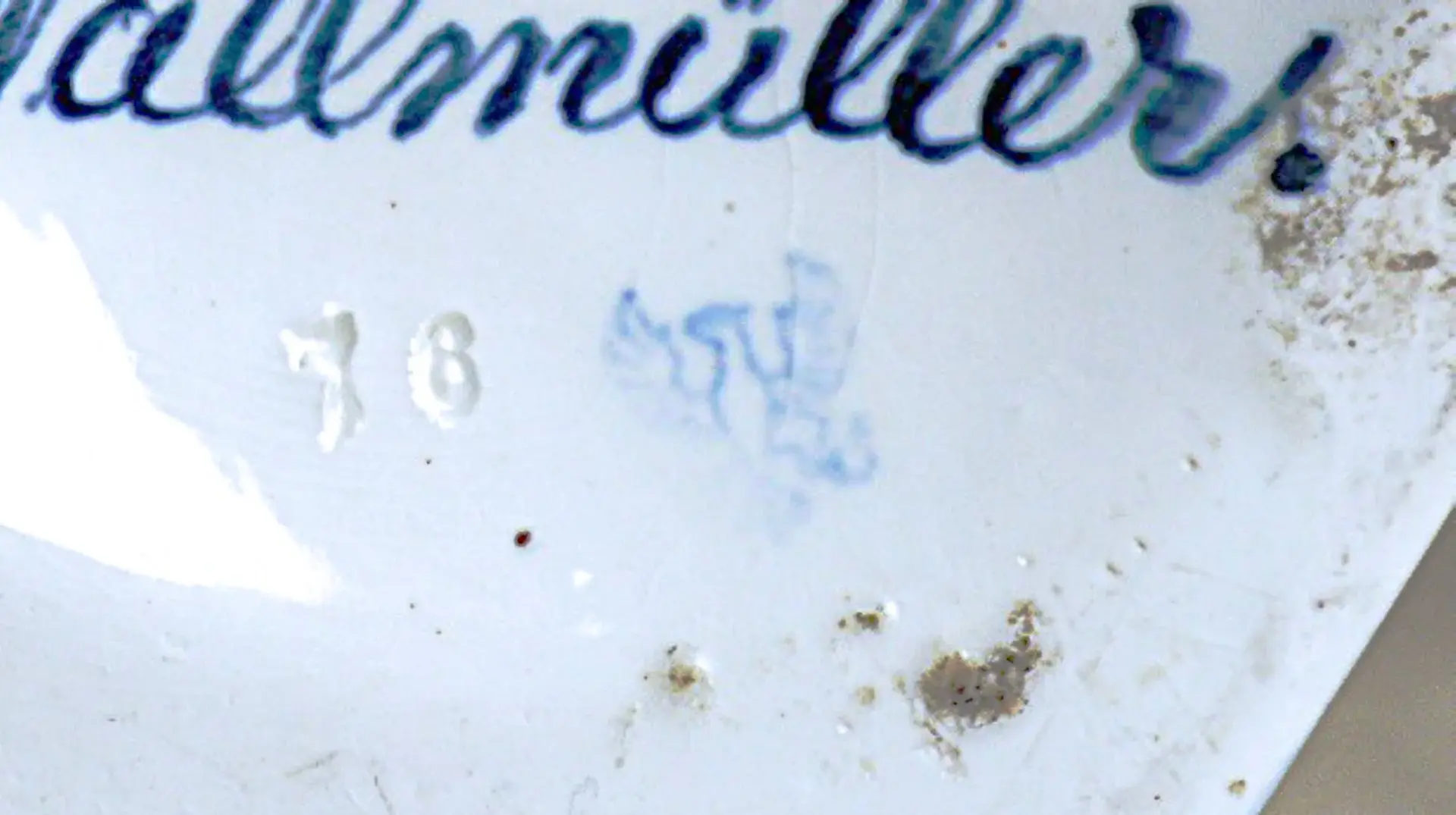 P1310492_detail.webp