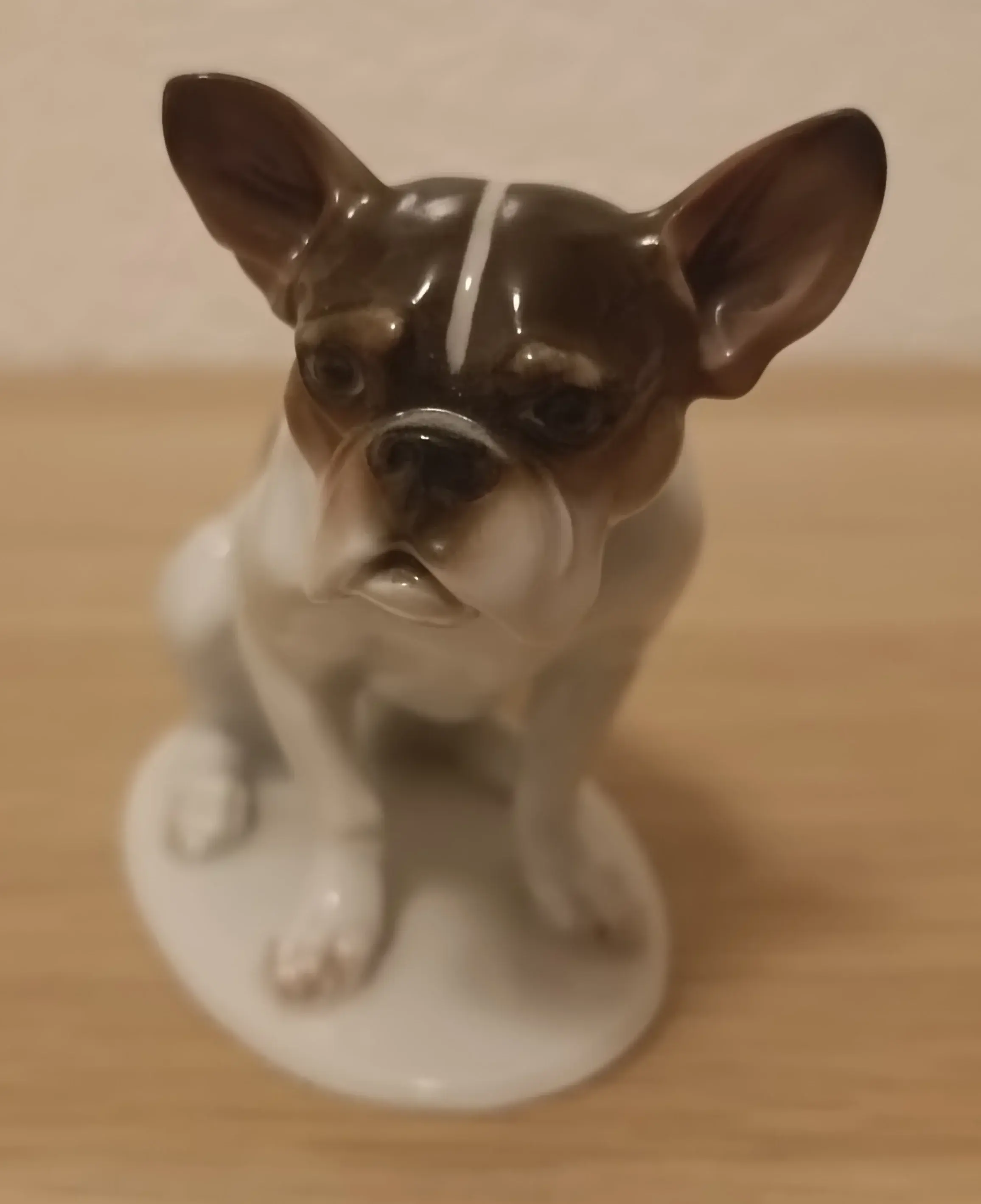 Hund1.webp