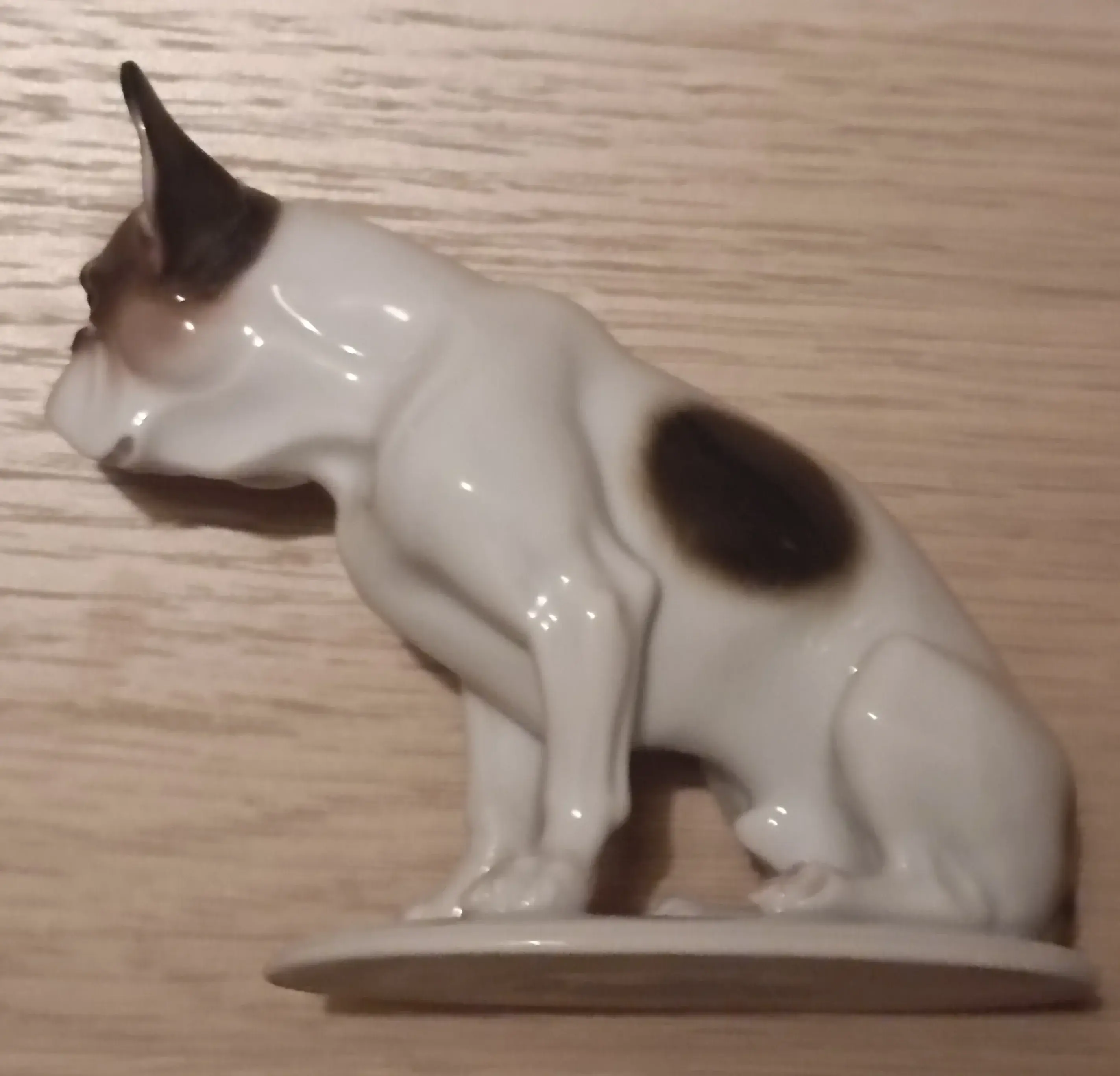Hund3.webp