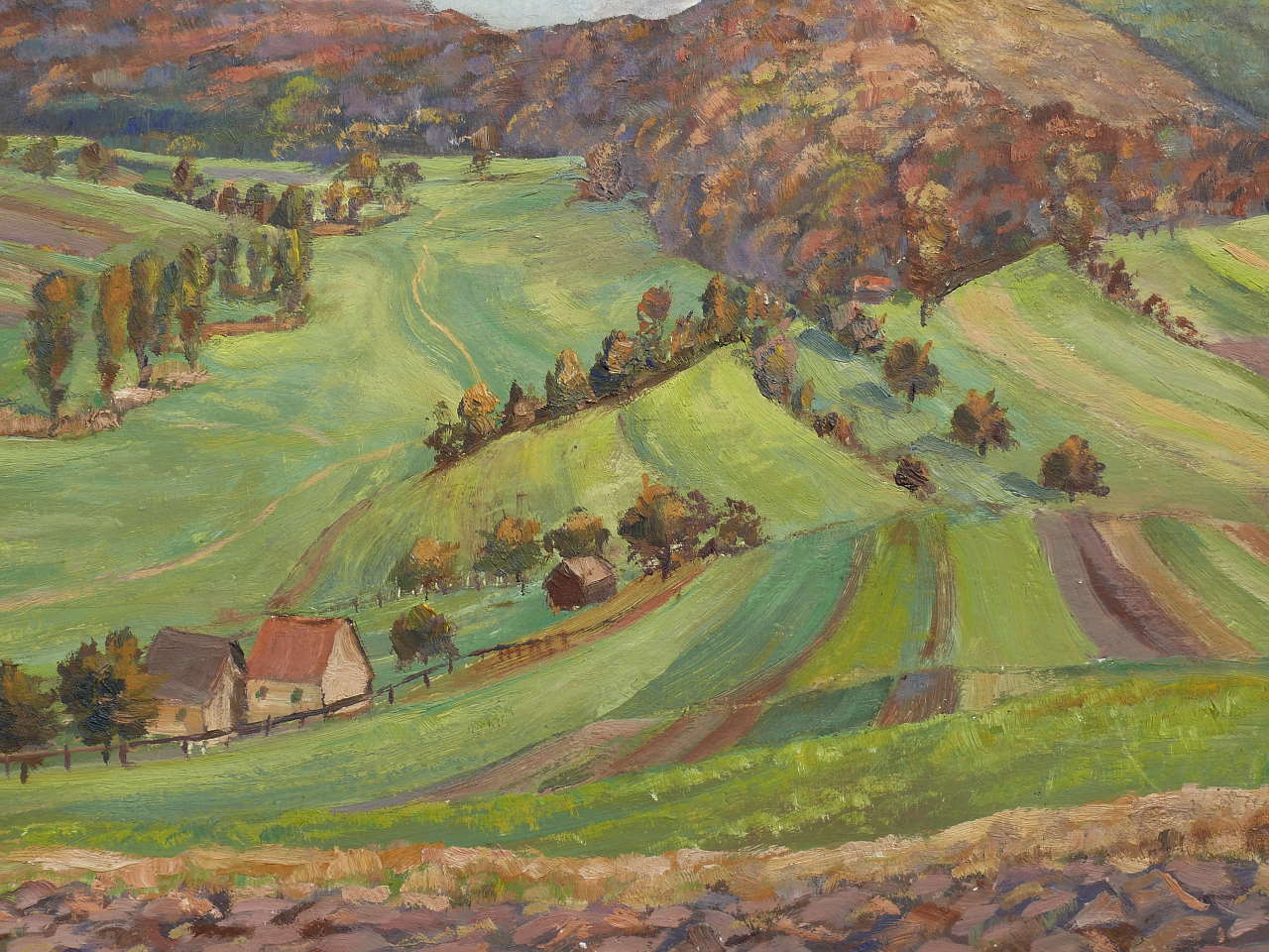 mayer schoellkopf 034.JPG