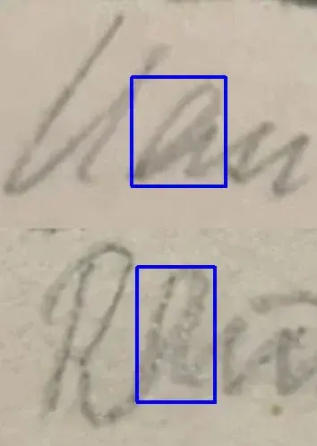 Han-Rau.webp