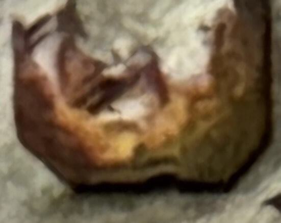 IMG_3003.jpeg