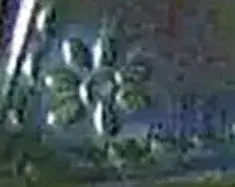 Blumenstempel.webp