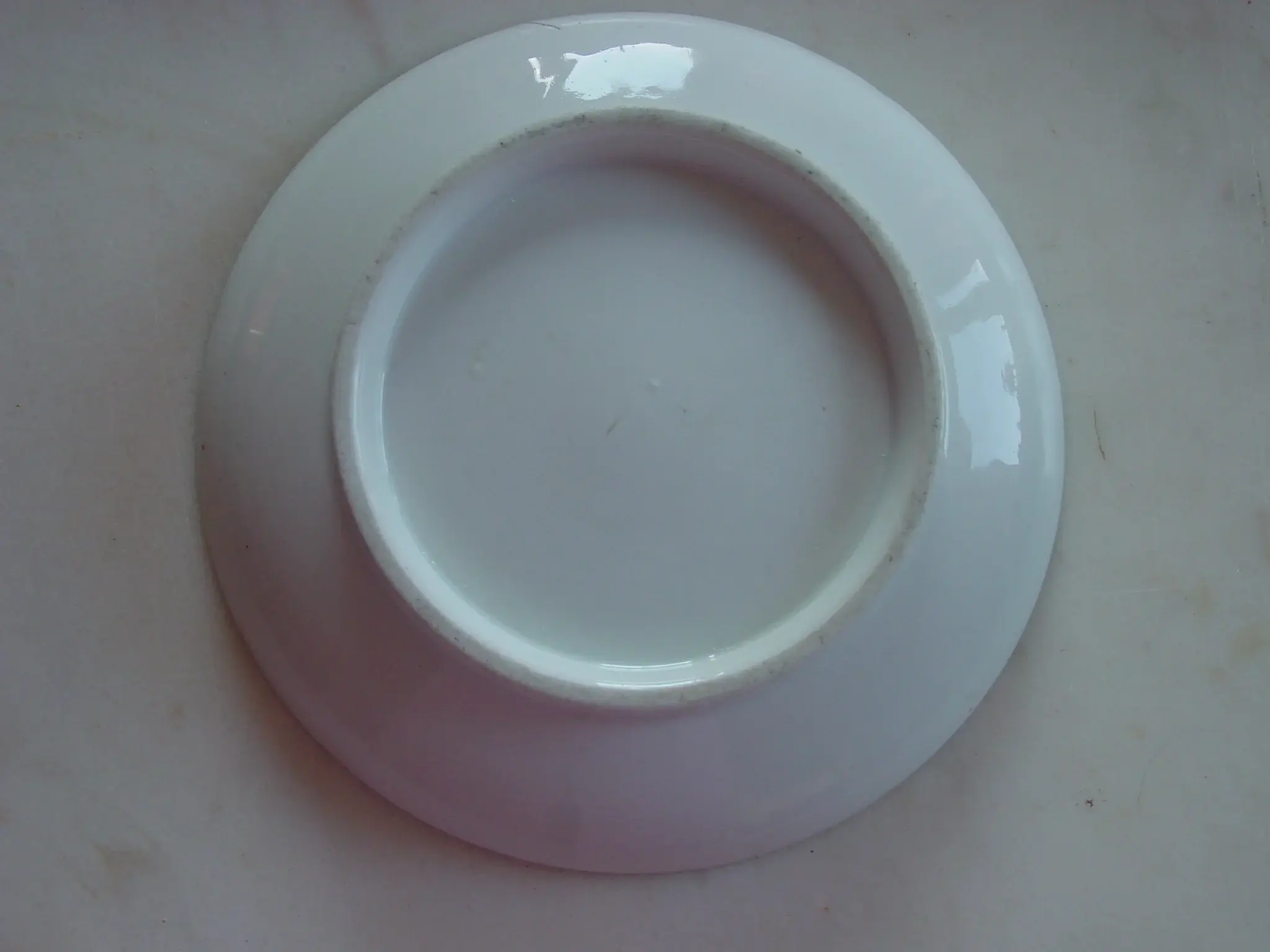 DSC03052.webp