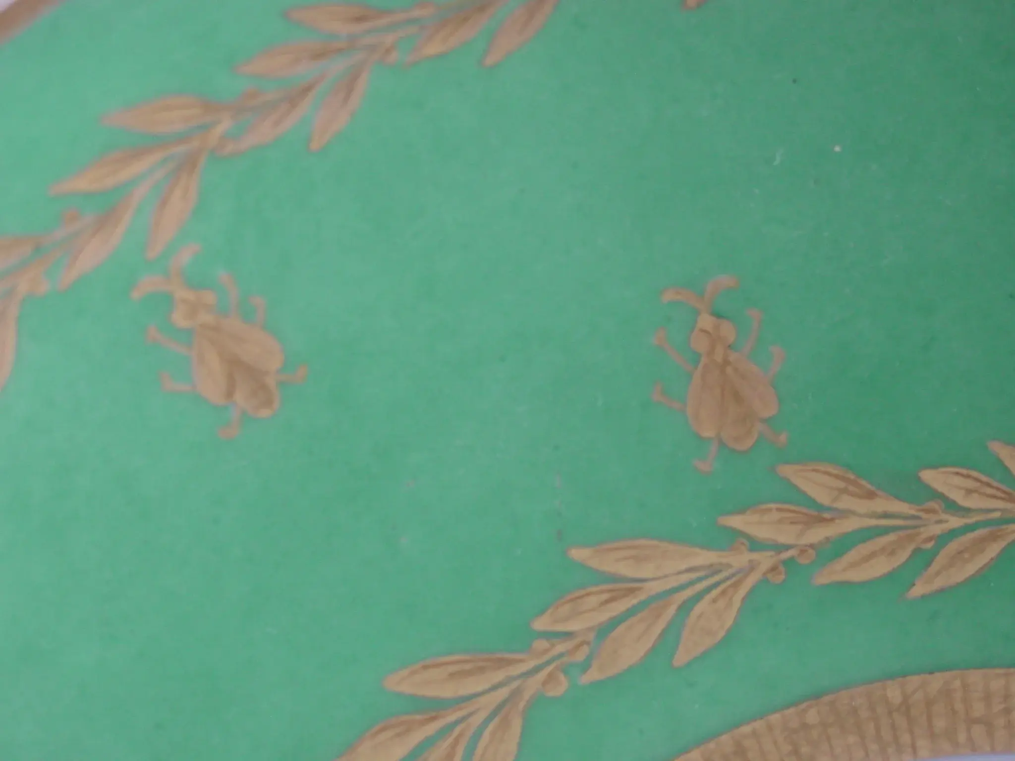 DSC03057.webp