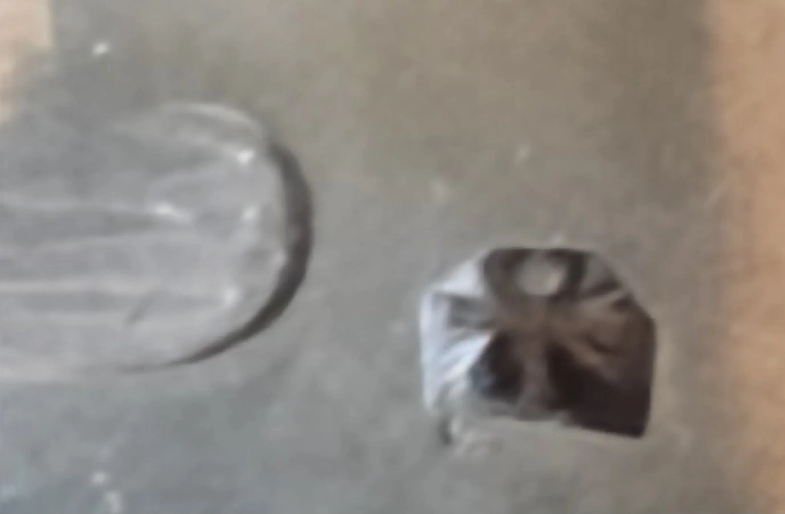 20250724_121949.webp
