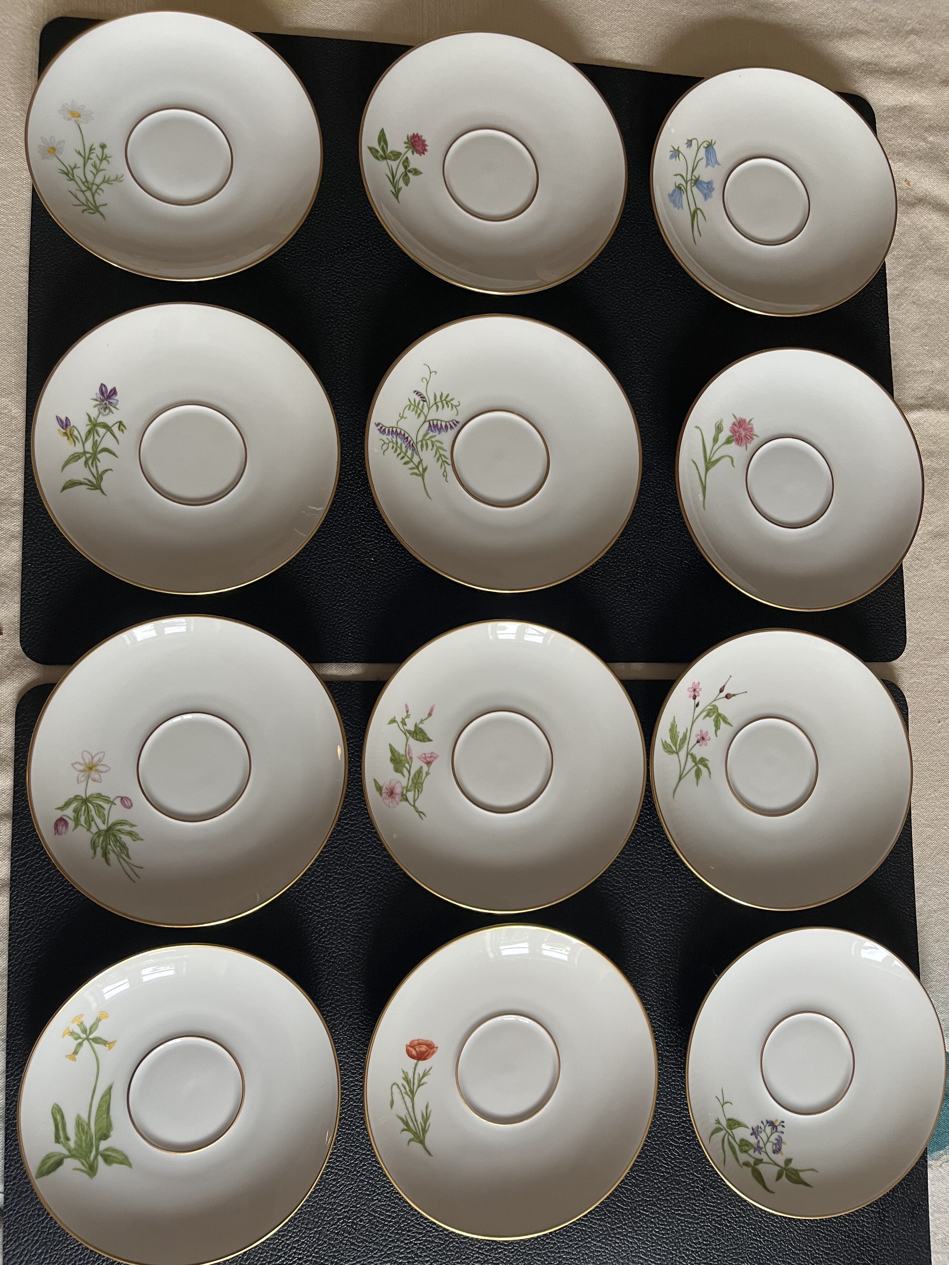 Alle 12 Untertassen mit den verschiedenen Blumen