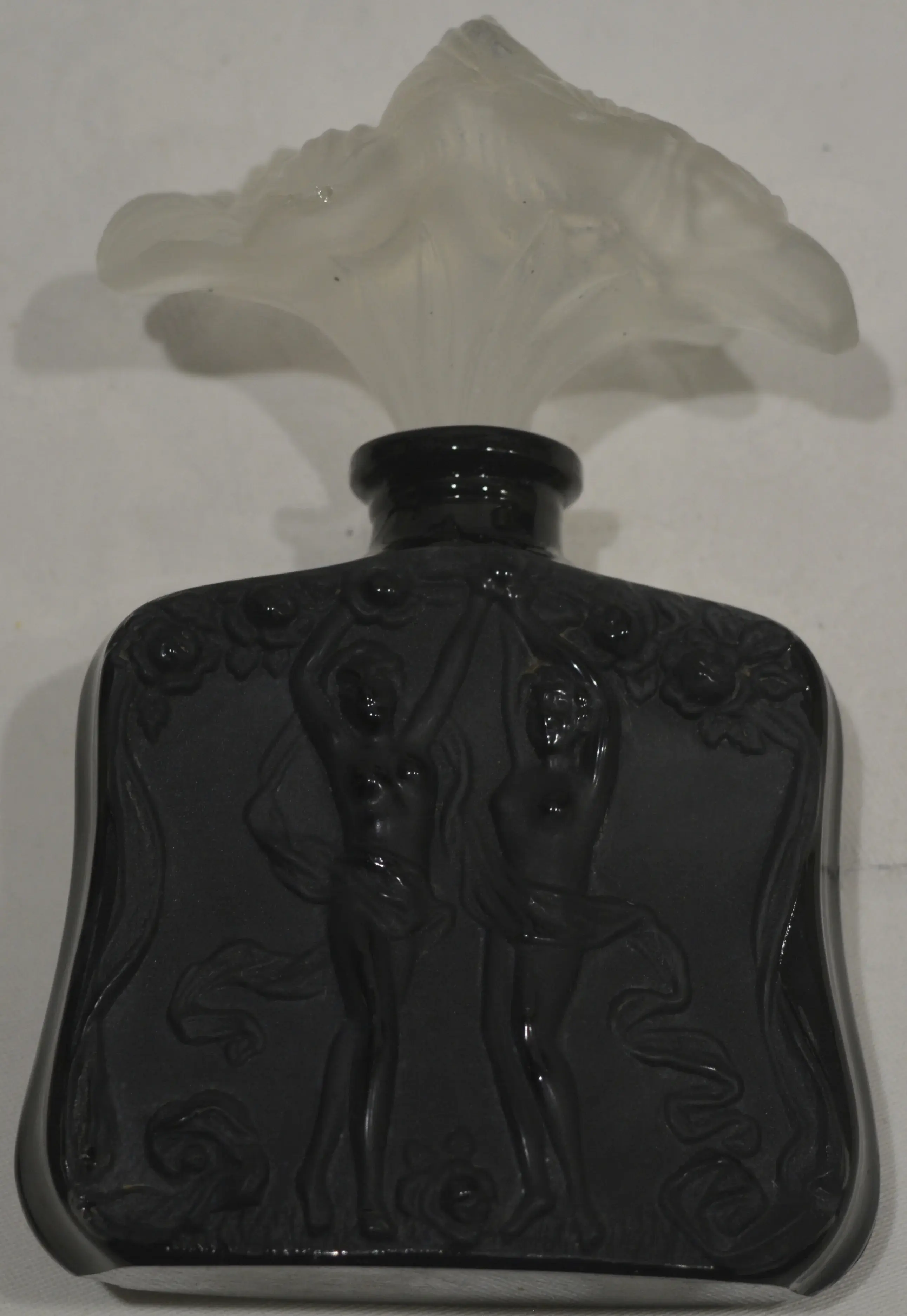 DSC_0174.webp