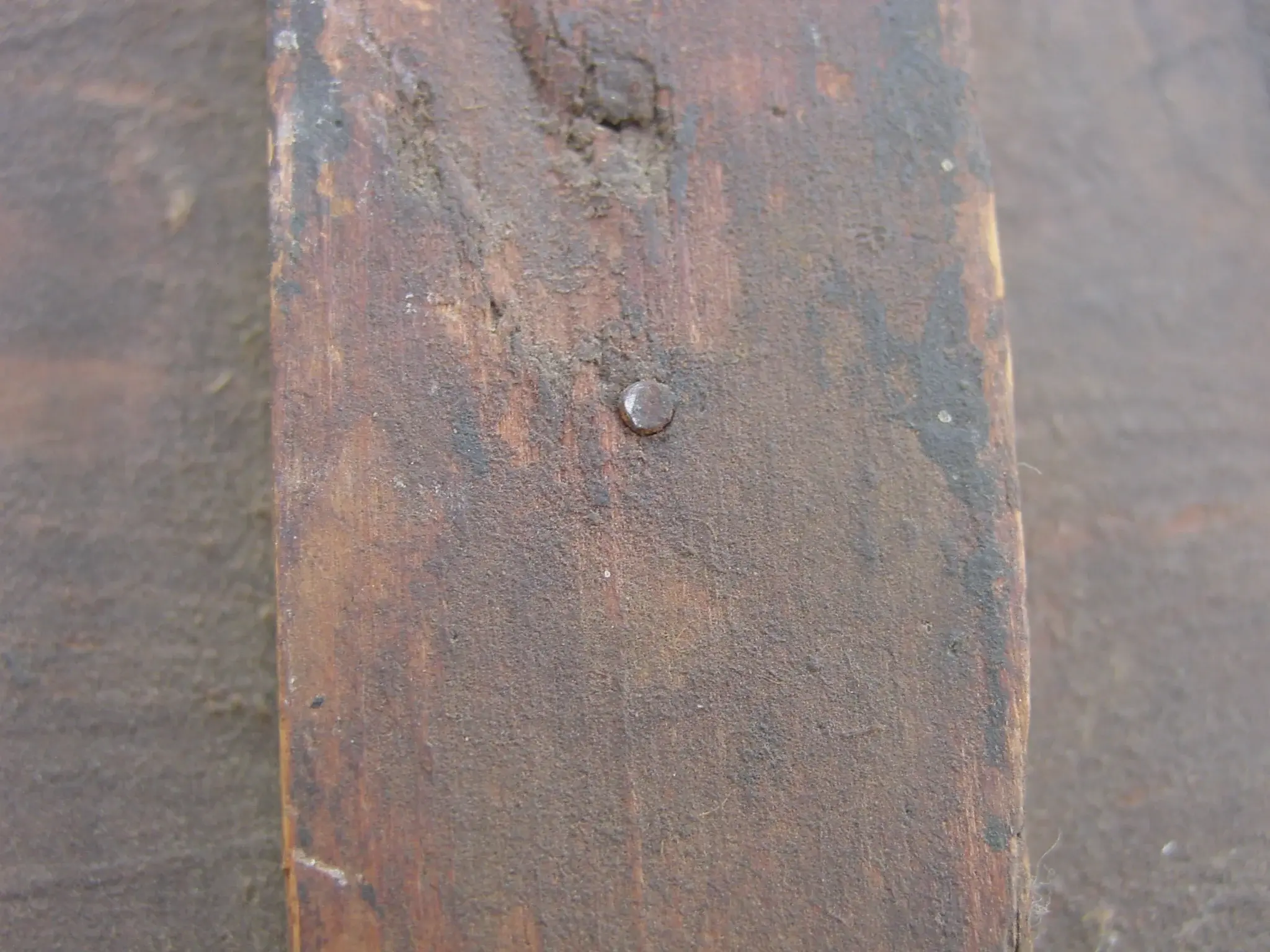 DSC03116.webp