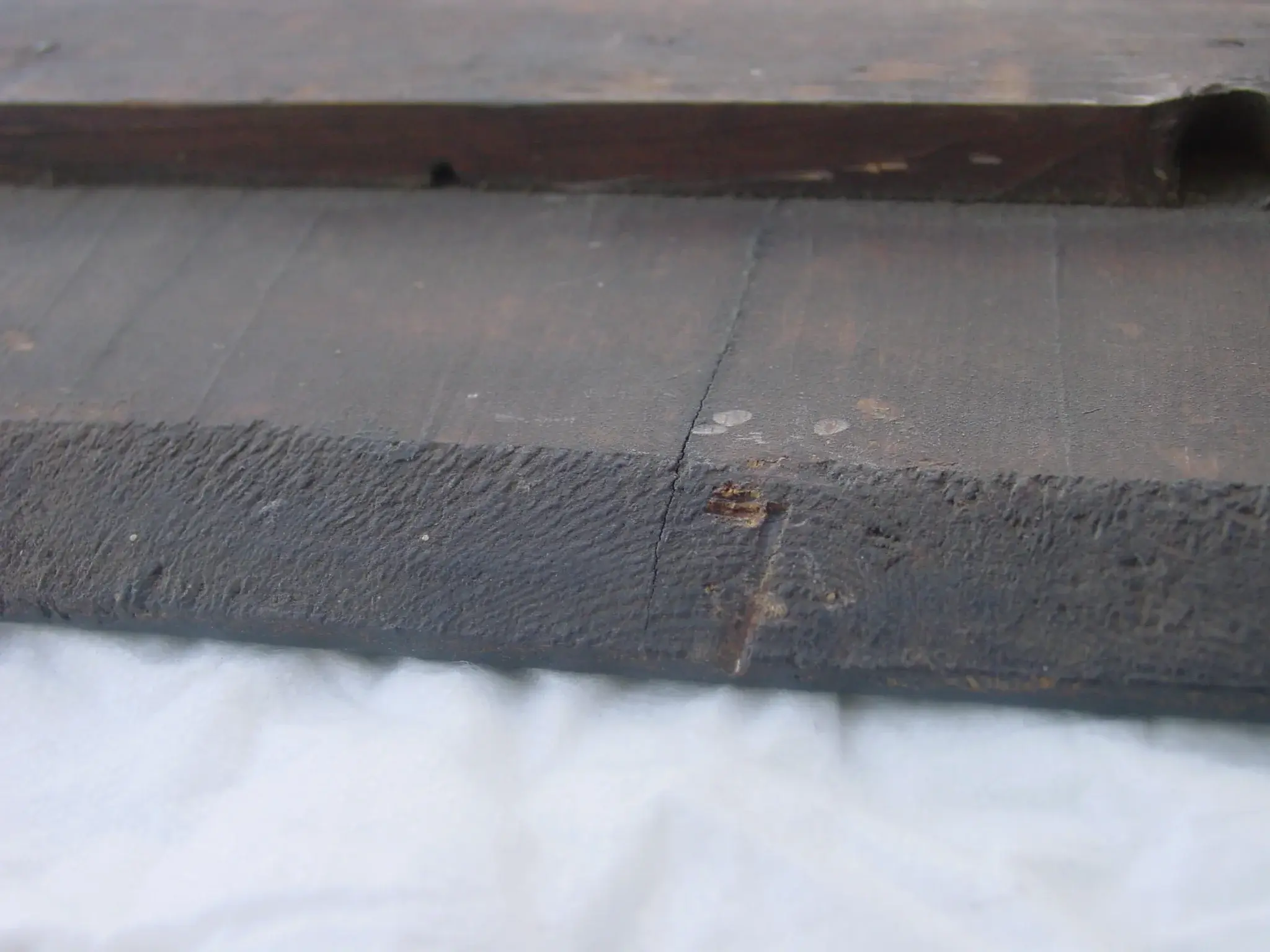 DSC03115.webp