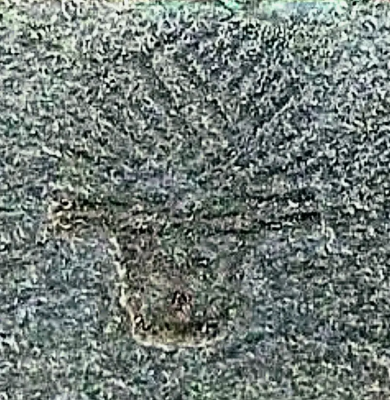 Screenshot_20251004_082201_Samsung Internet.webp
