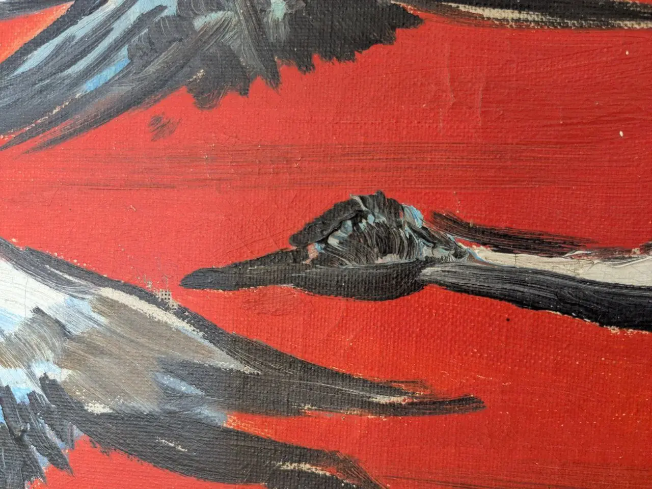 photo_2025-10-30_12-42-03 (4).webp