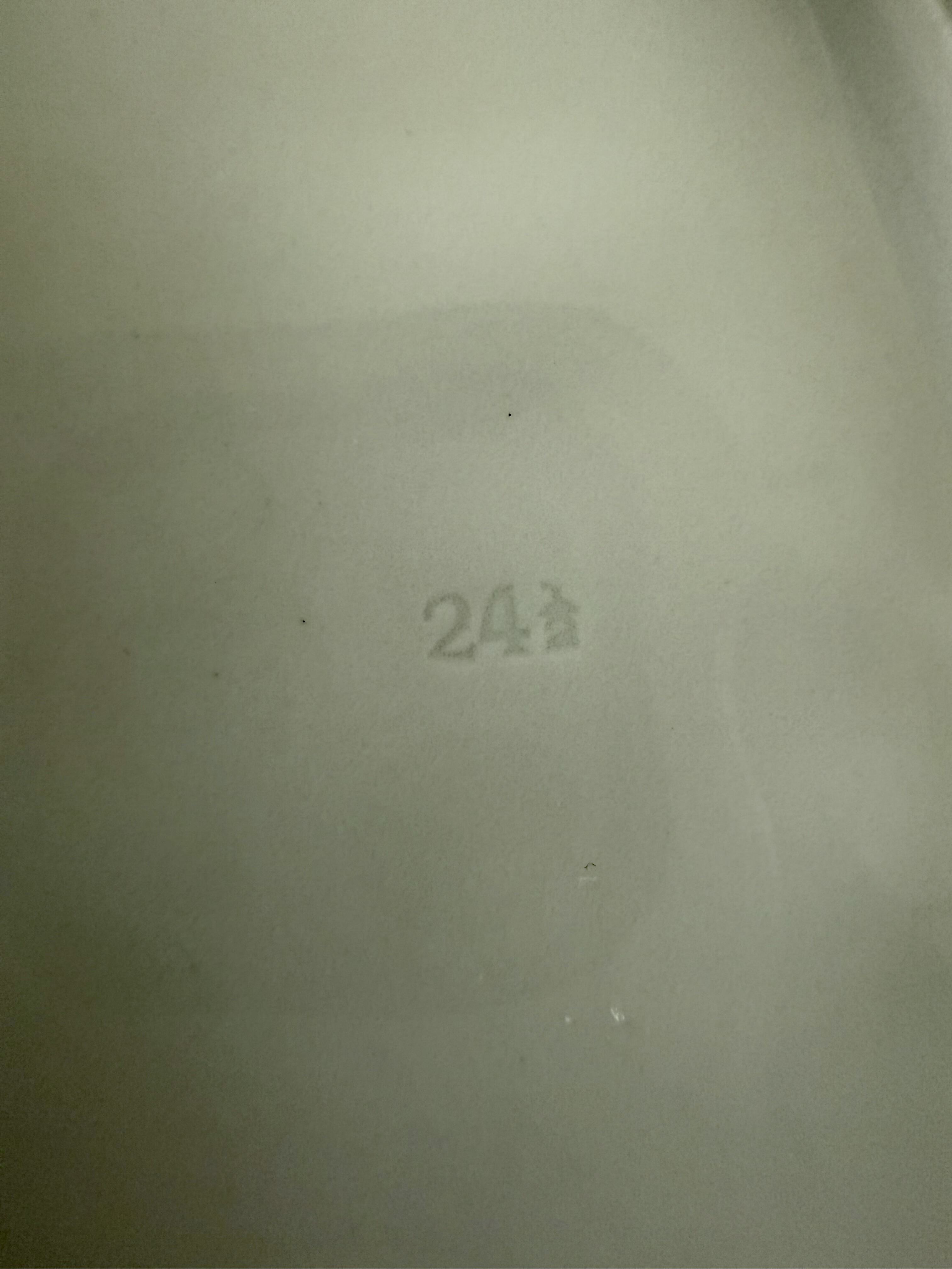 Speiseteller sind nicht alle geprägt. Die, die geprägt sind, sind auf 2 unterschiedliche Arten mit „24 1/2“, mit Bruchstrich oder mit Schrägstrich geprägt