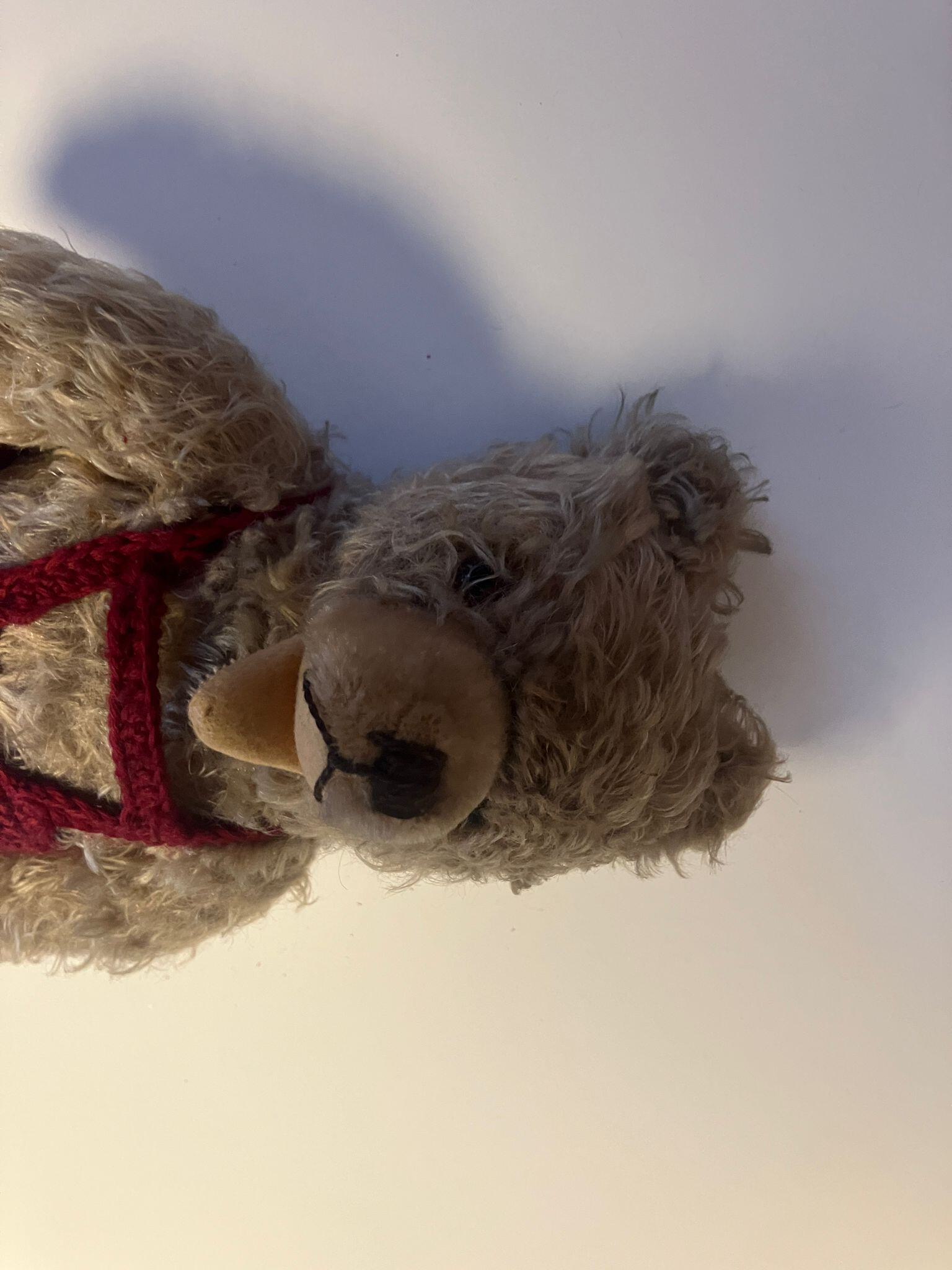 WhatsApp Image 2026-01-09 at 15.40.48 (2).jpeg