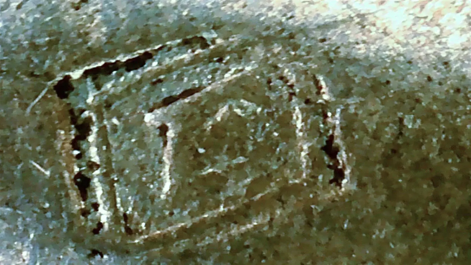 WhatsApp Image 2026-02-11 at 15.55.27 5-Exposure.webp