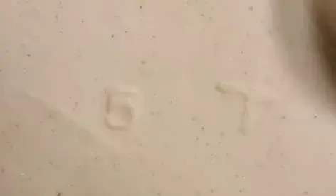 Pierrot numeros.webp