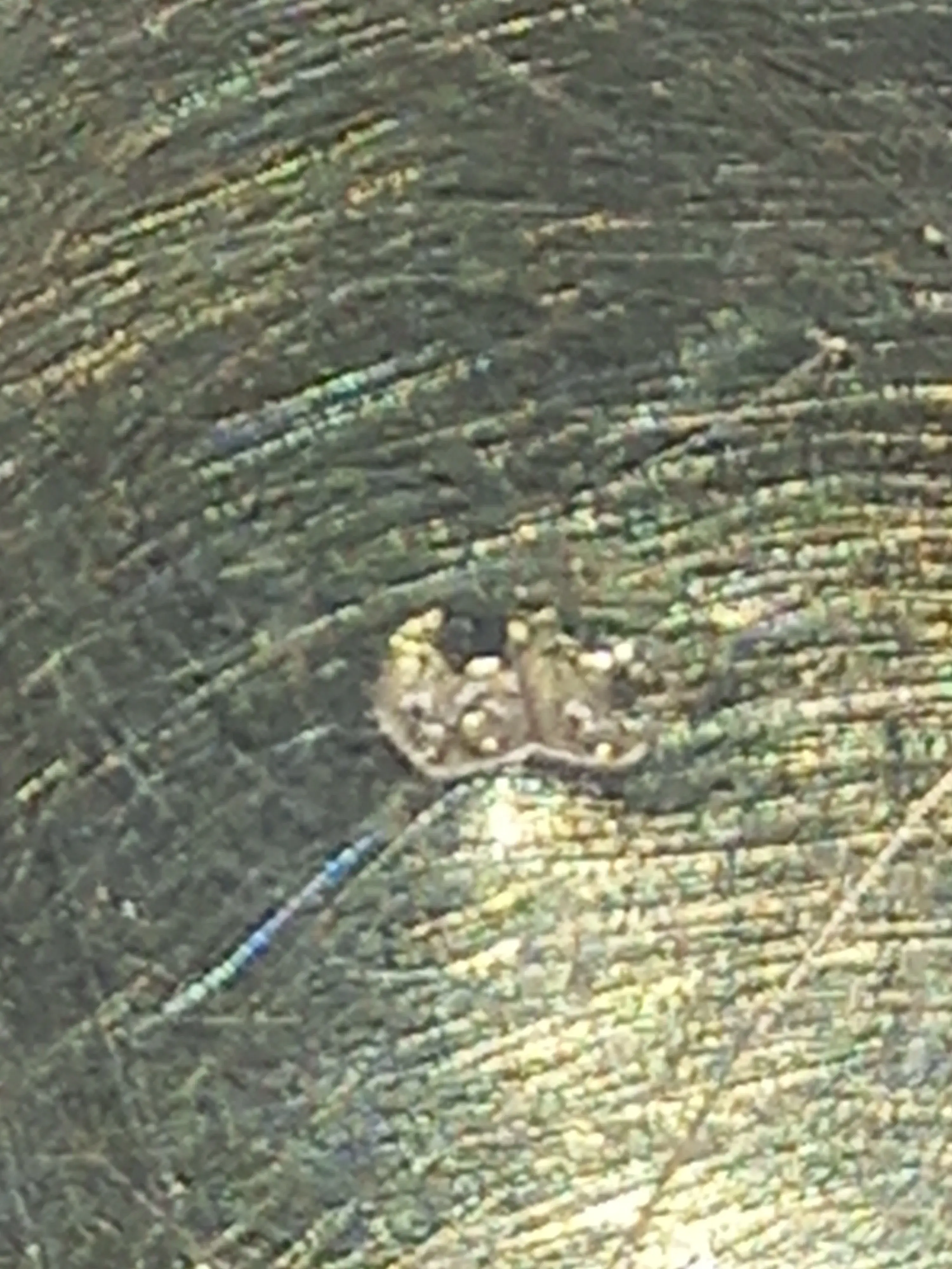 Unbekannter Hersteller mit Taschenlampe fotografiert