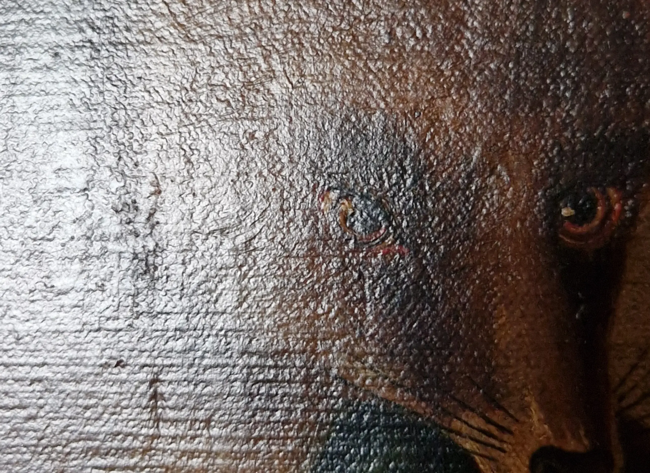 Licht bewusst gewählt, um Struktur zu erkennen. Am Auge erkennt man eine Strichführung.