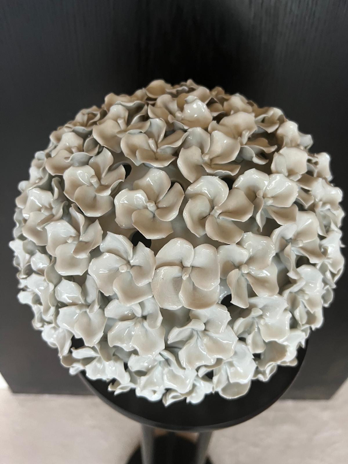 PHOTO-2026-02-22-16-02-43 2.jpeg