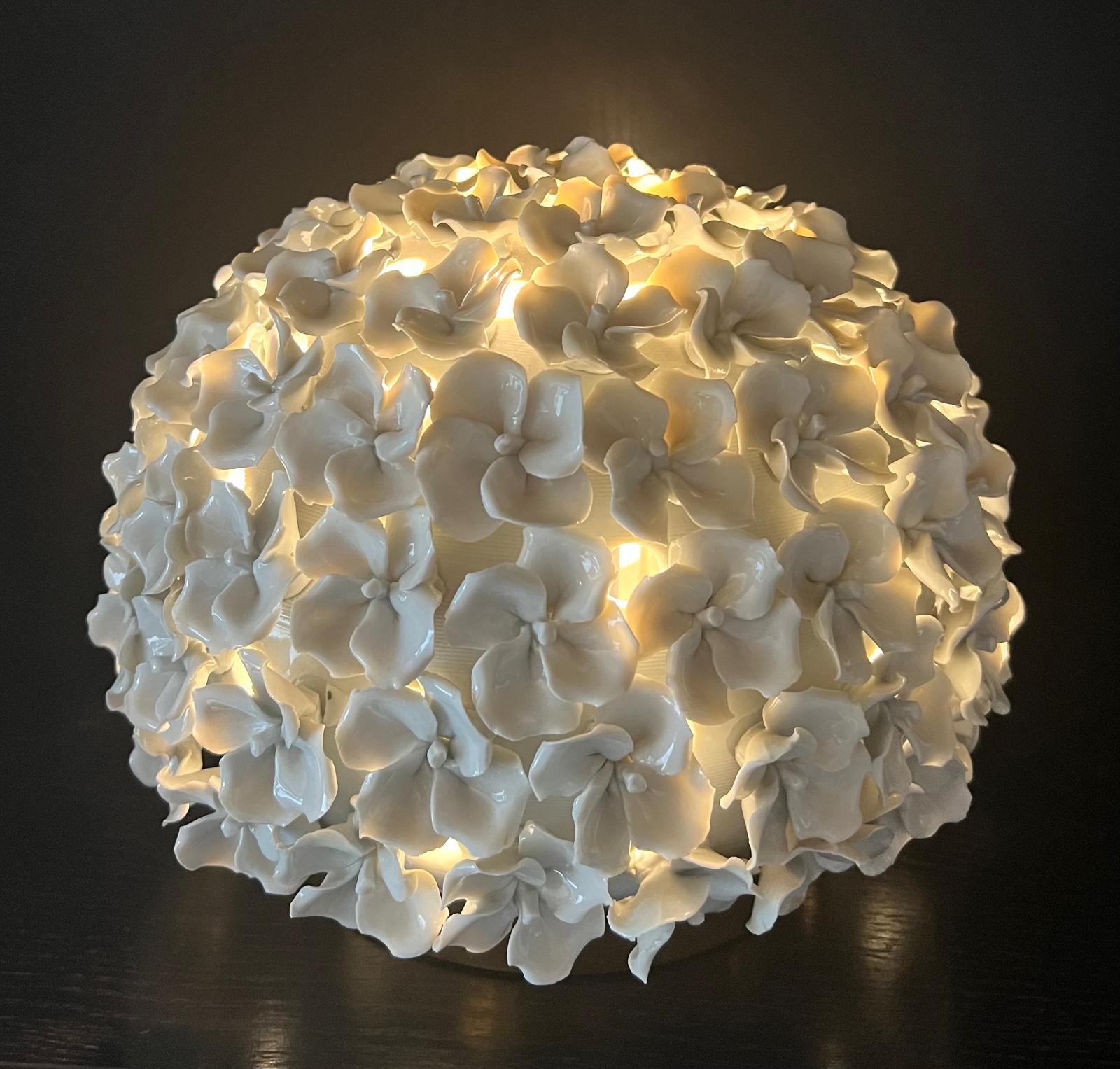 PHOTO-2026-02-22-16-02-43 3.jpeg