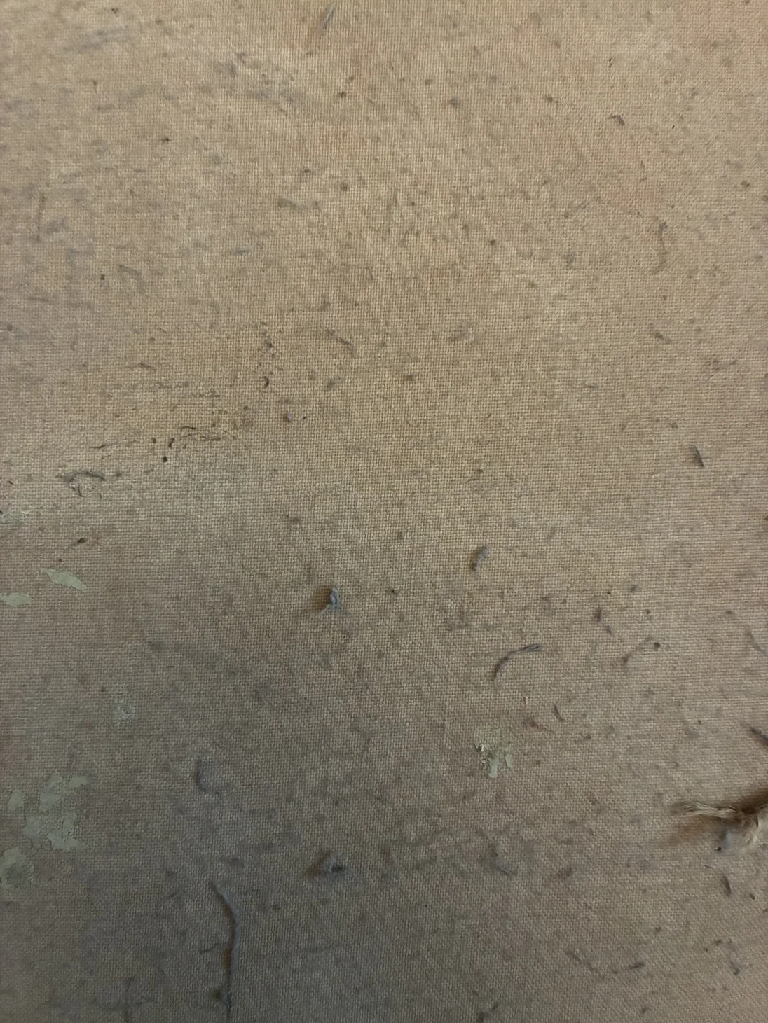 Leinwand