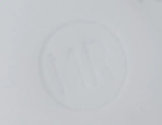 sb47.webp