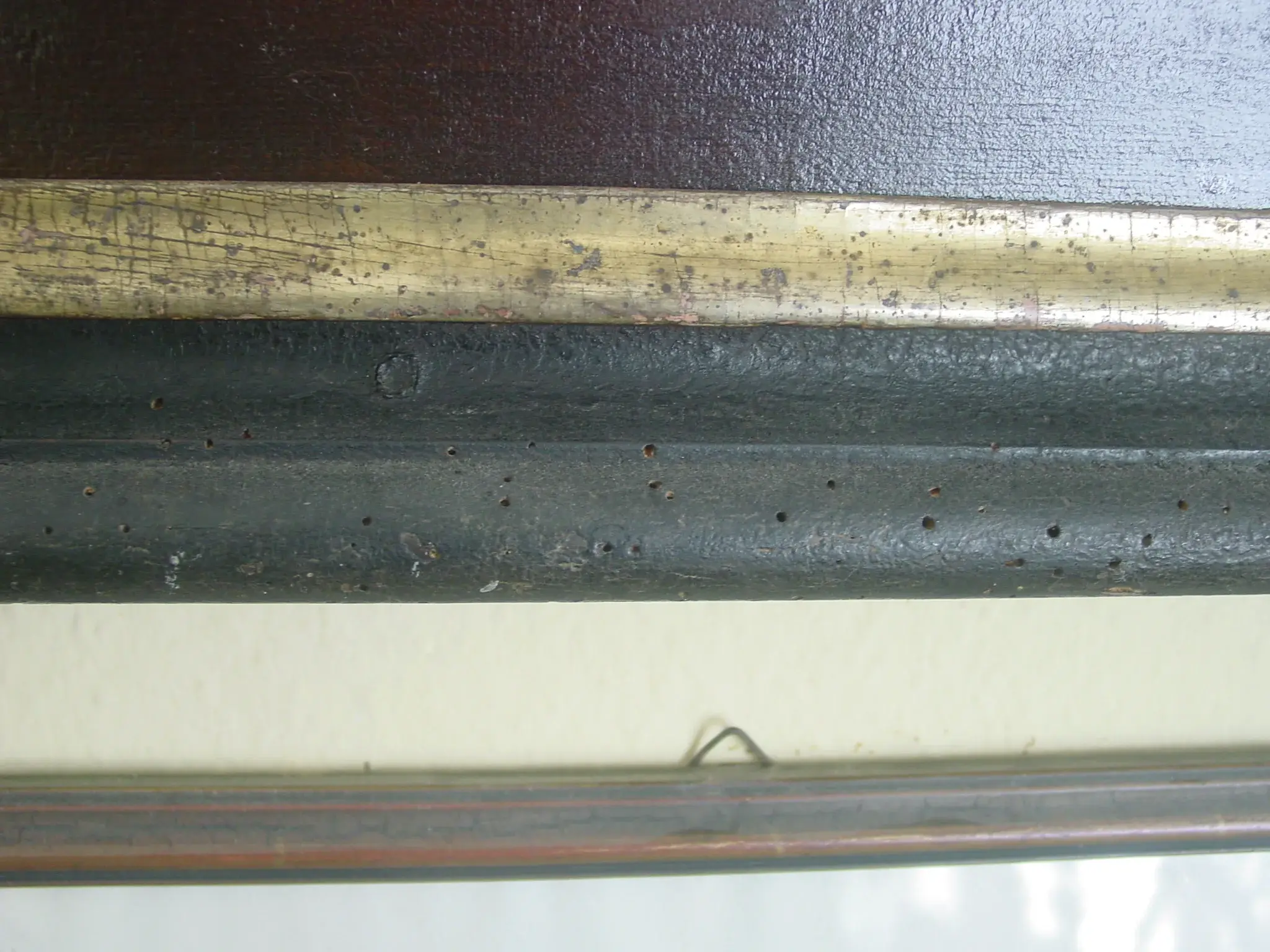DSC03230.webp