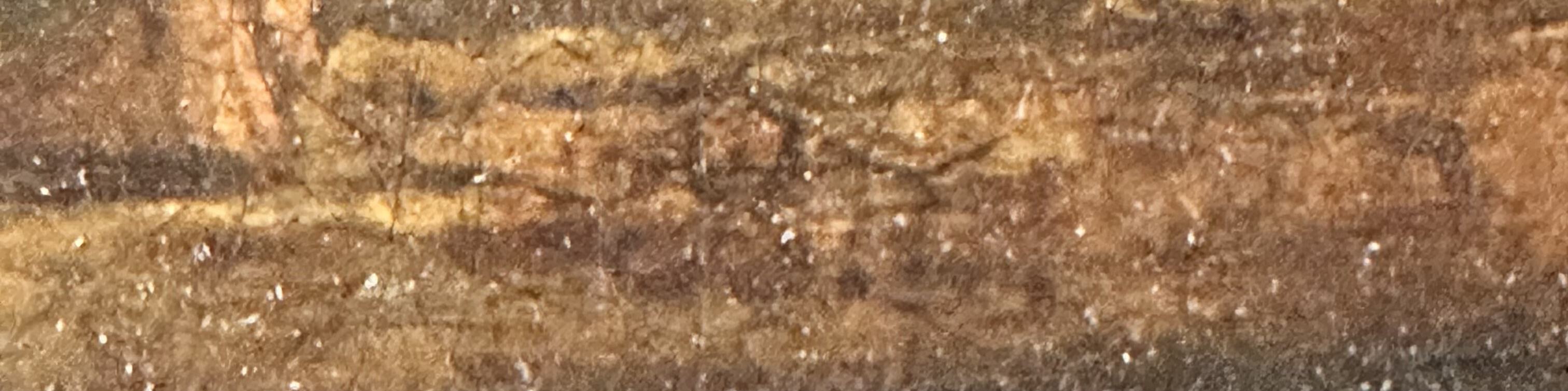 IMG_2308.jpeg