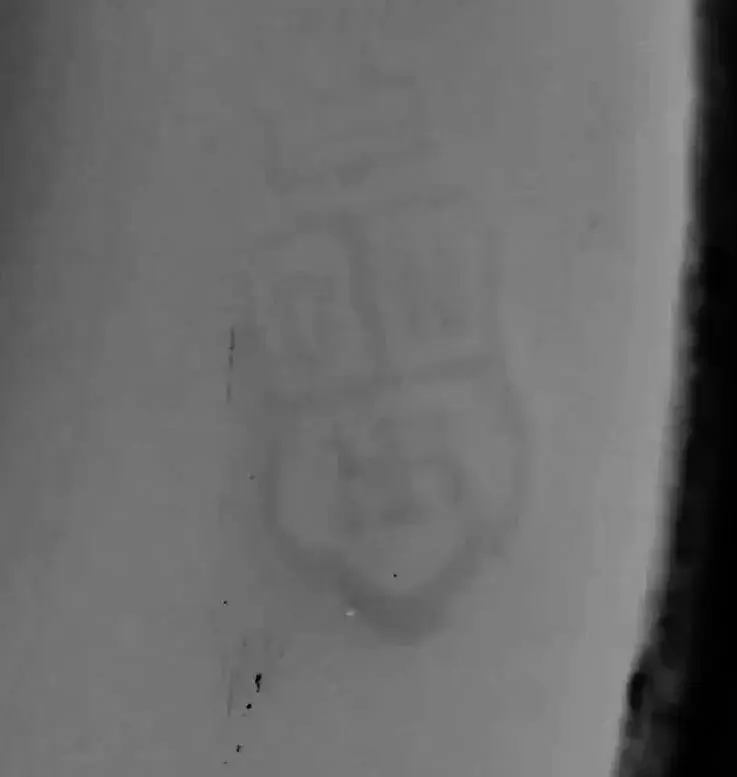CMHR Blindstempel.webp