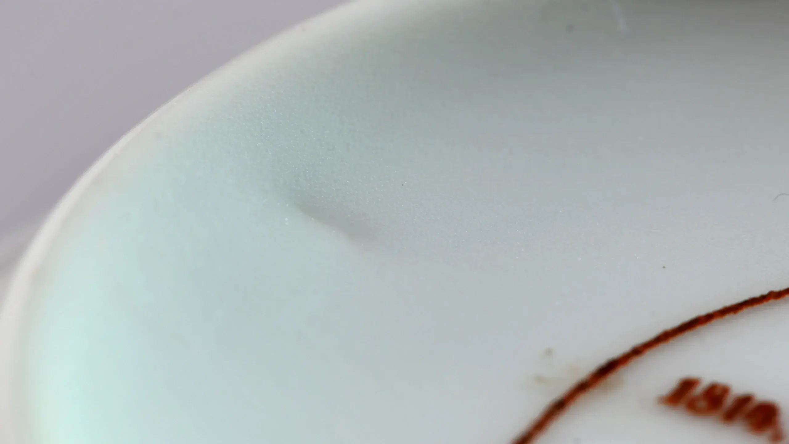 Delle_Tasse.webp