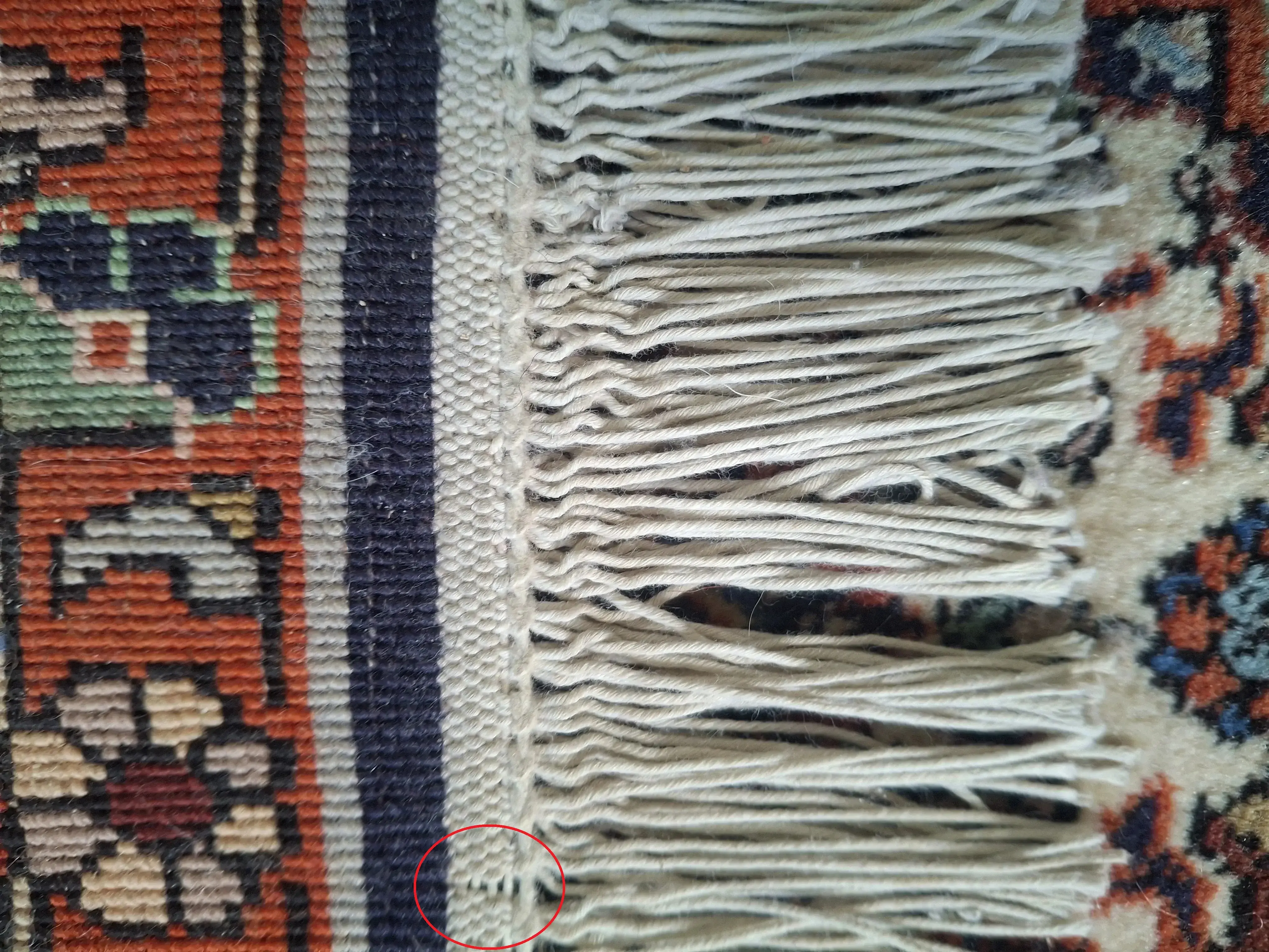 test.webp
