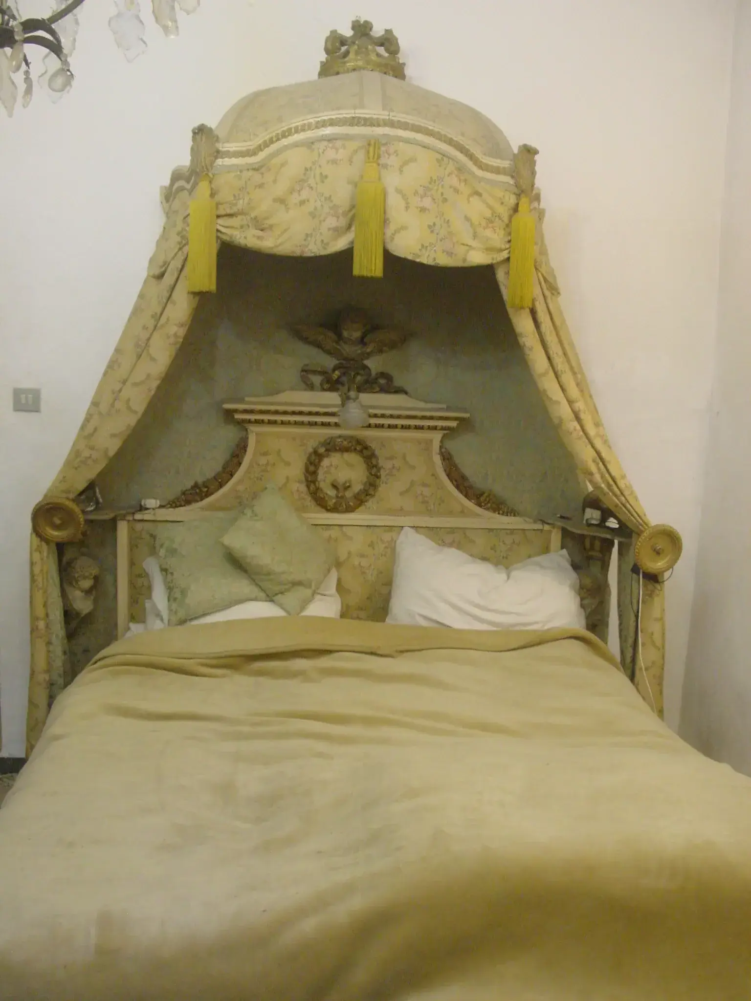 DSC02618.webp