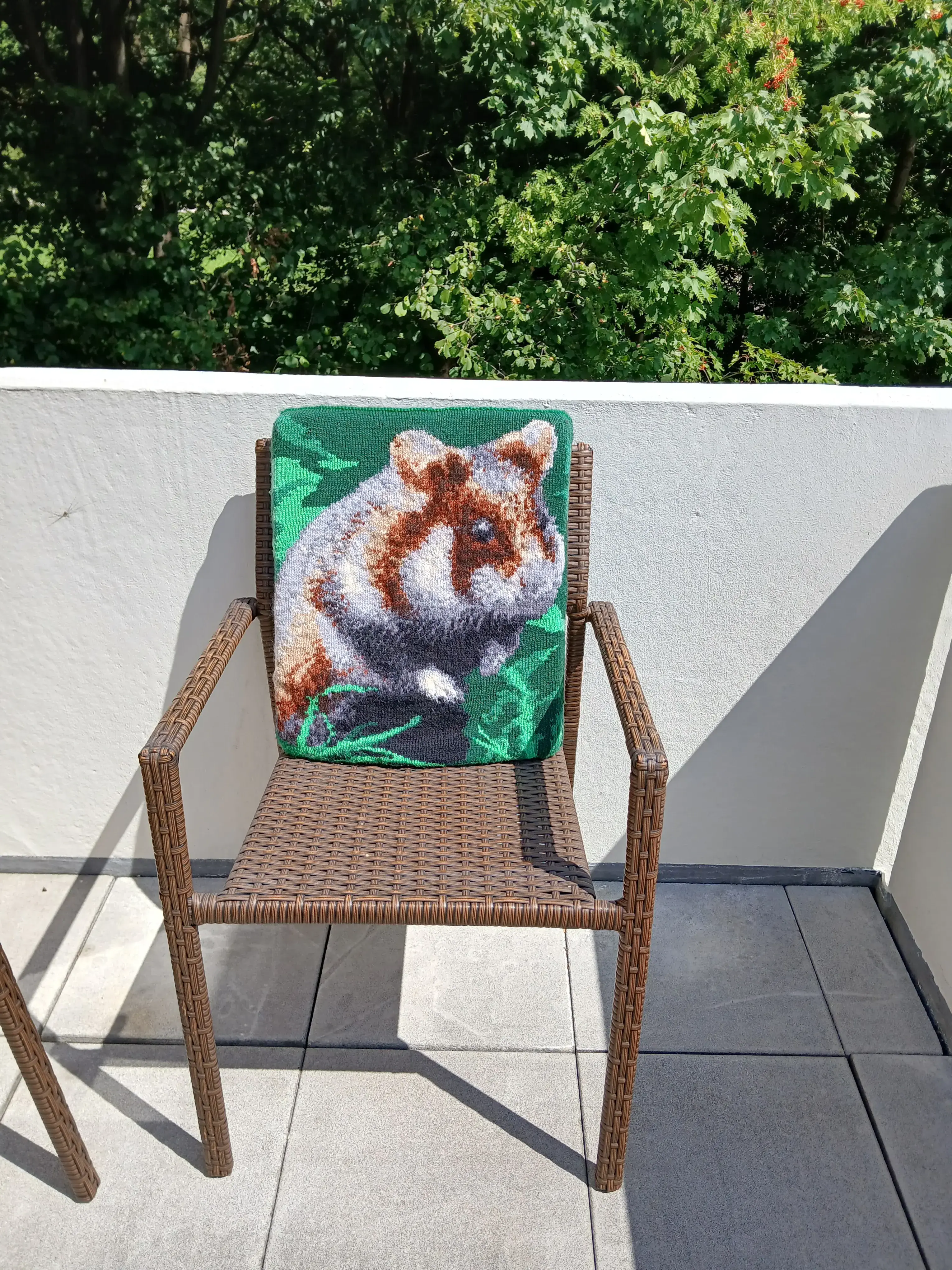 ha1.webp