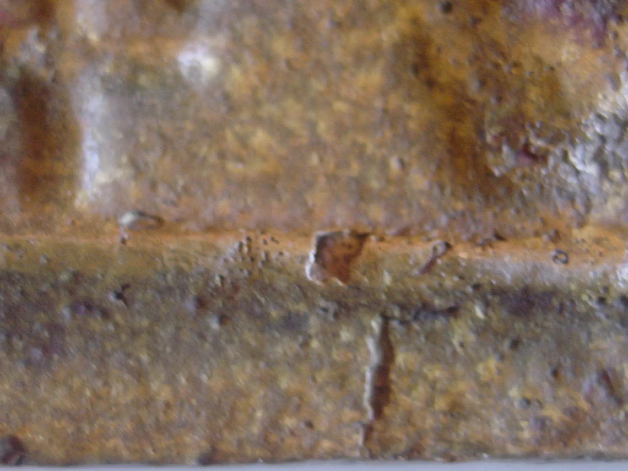 DSC03274.webp